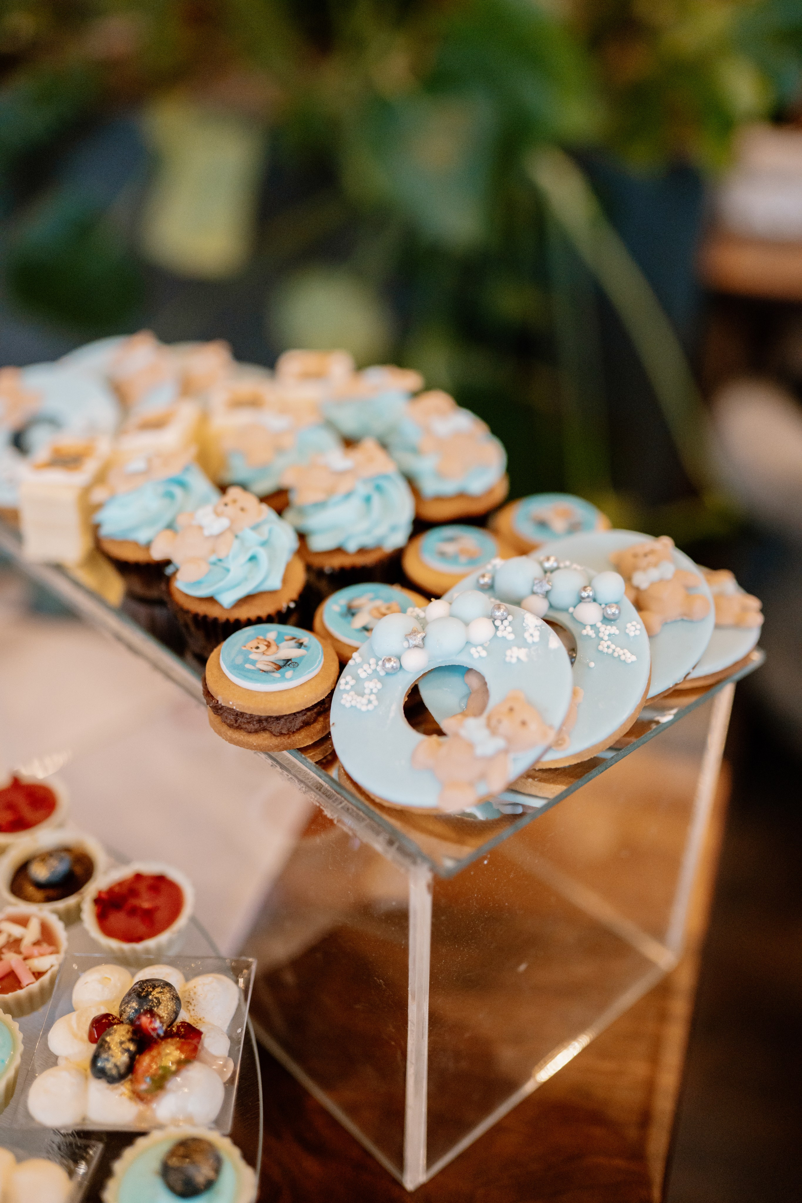 Amza — 1 year. Gabrielacojocariu.com