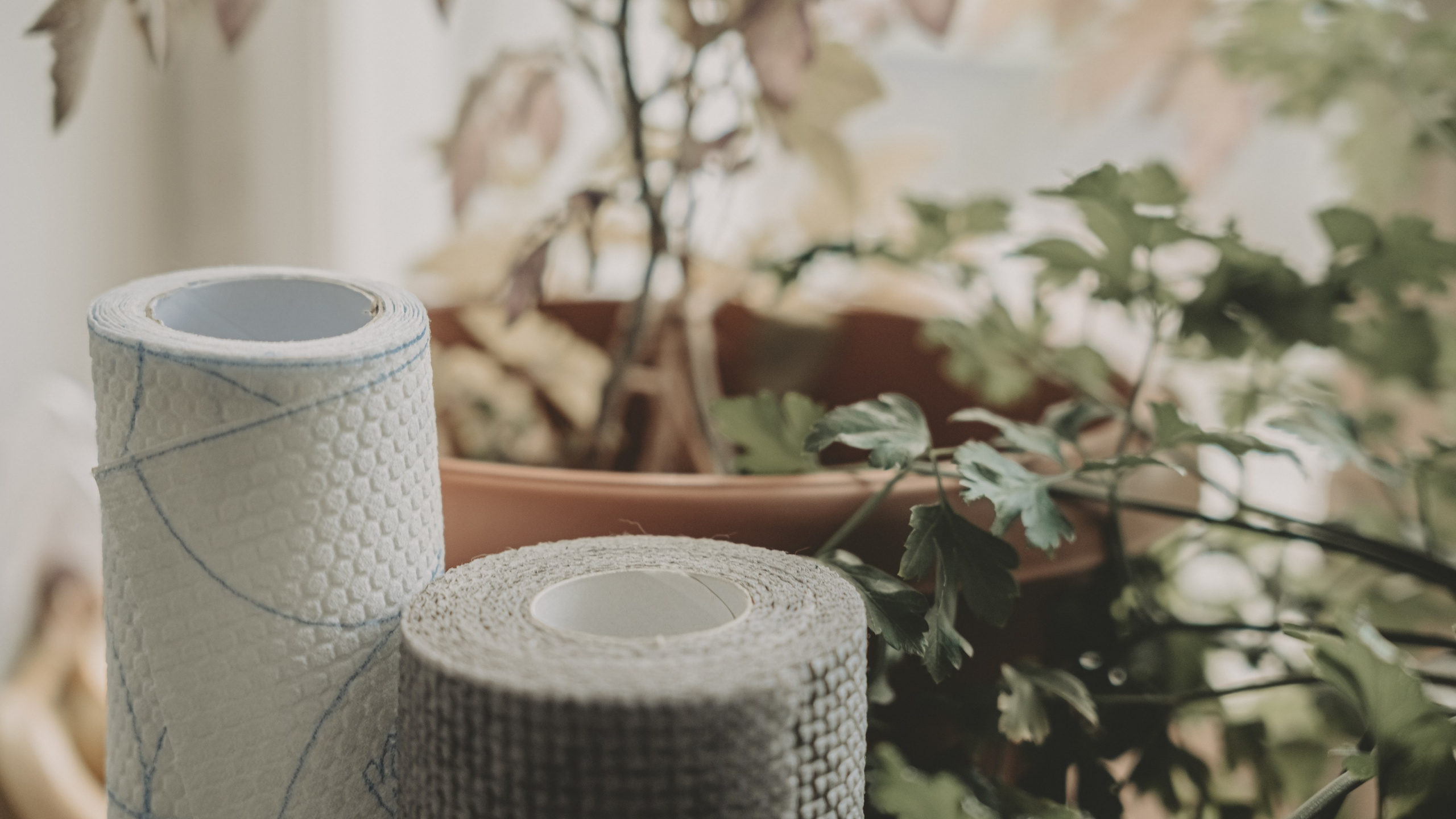 Photography. ODIX Creative