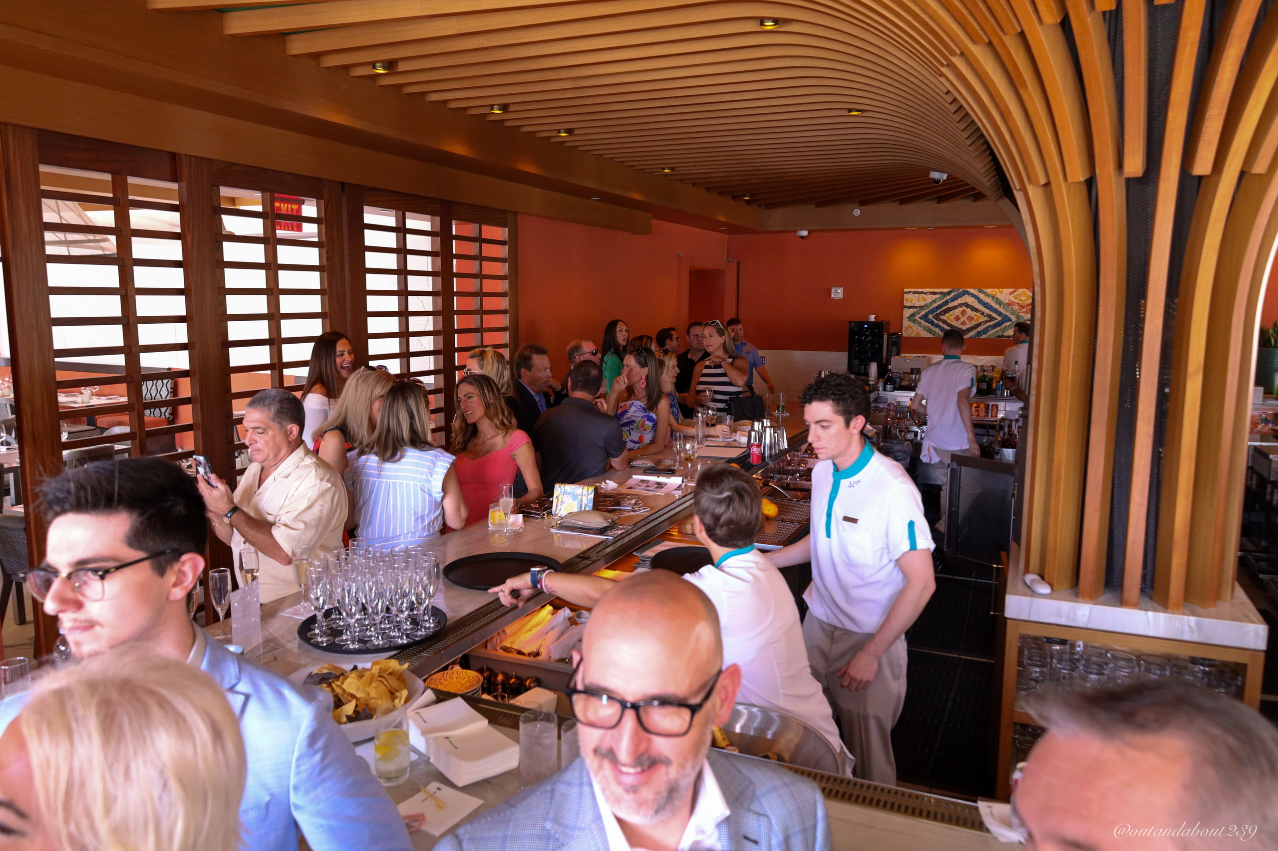 NLM VIP Launch — Ritz March 26 2024. Out and About 239