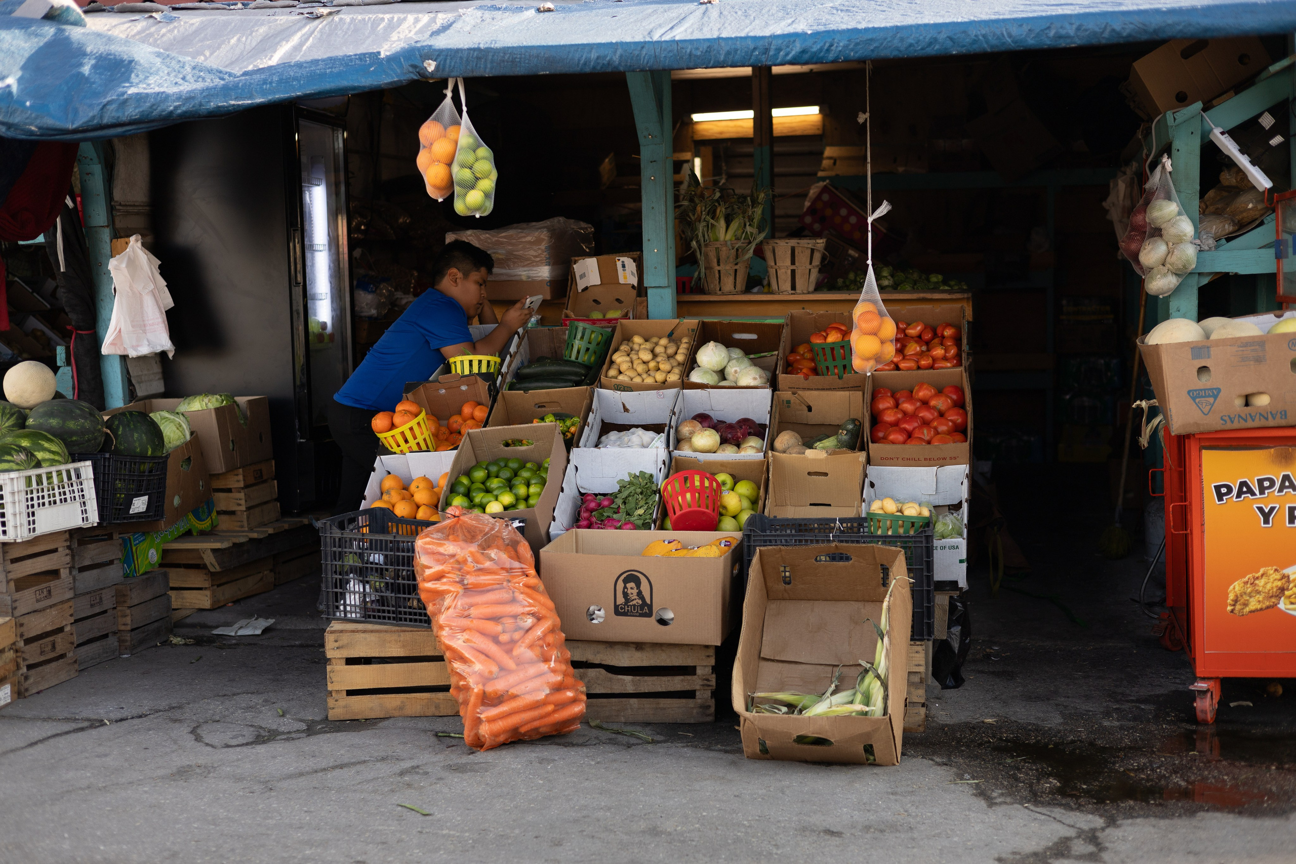 Americana — Immokolee. Out and About 239