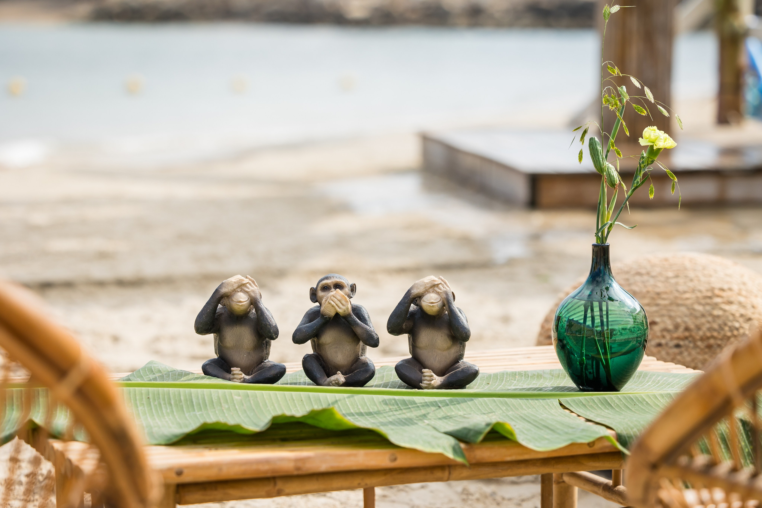 Qualcomm 2024 summer event. AMIR BUCHNIK PHOTOGRAPHER