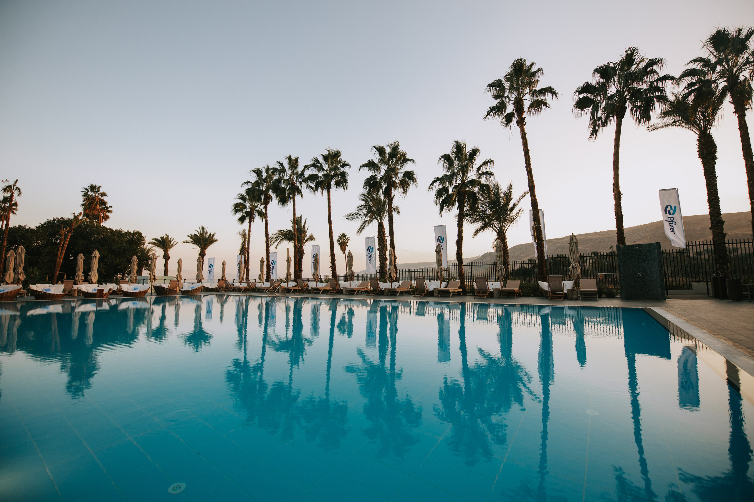 Pfizer. AMIR BUCHNIK PHOTOGRAPHER