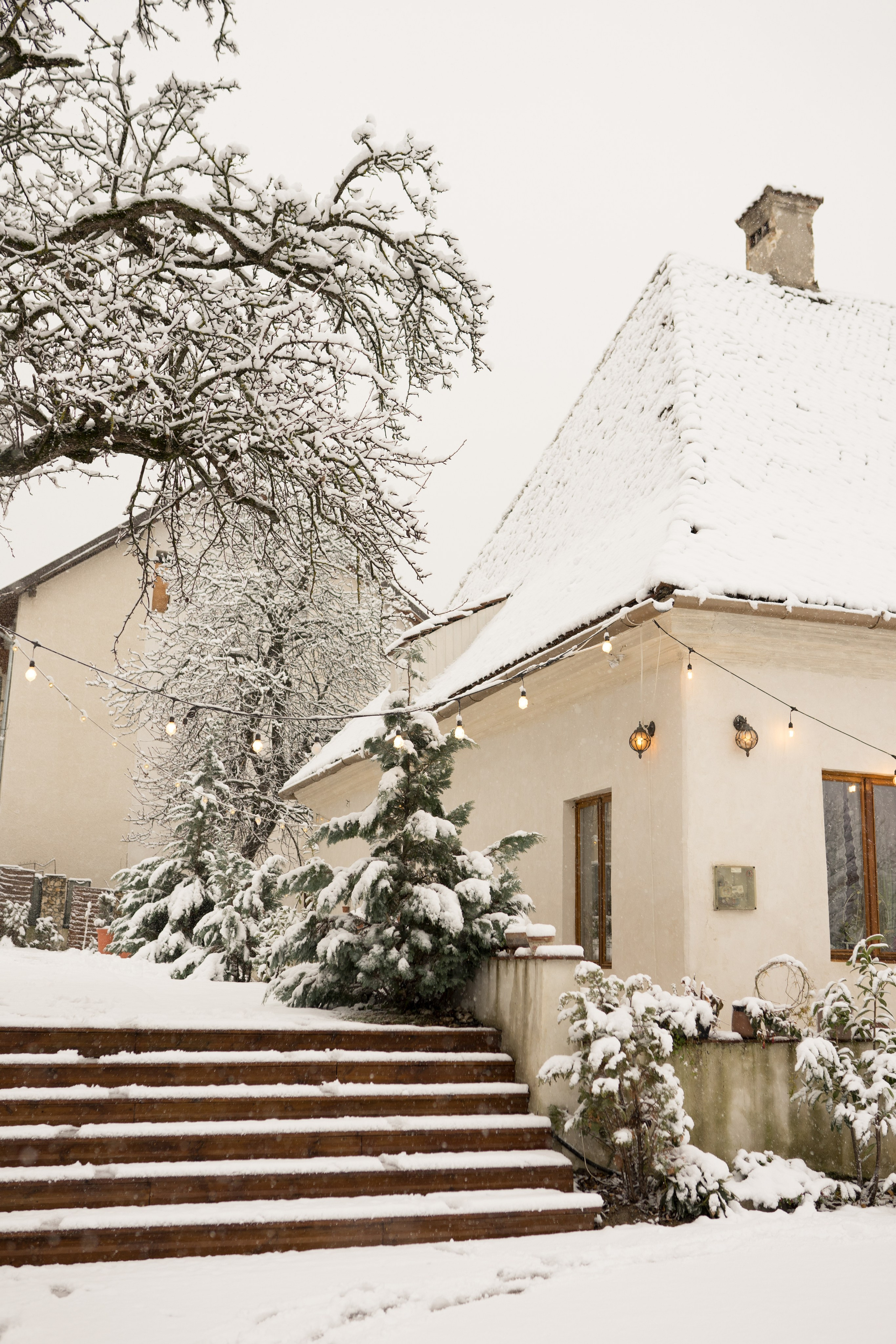 Fotografie de Eveniment Brașov: Povești Vizuale | Mădălina Beda. Madalina Beda- Artist vizual, fotograf, doula la nastere, consultant babywearing Brasov si in toata tara