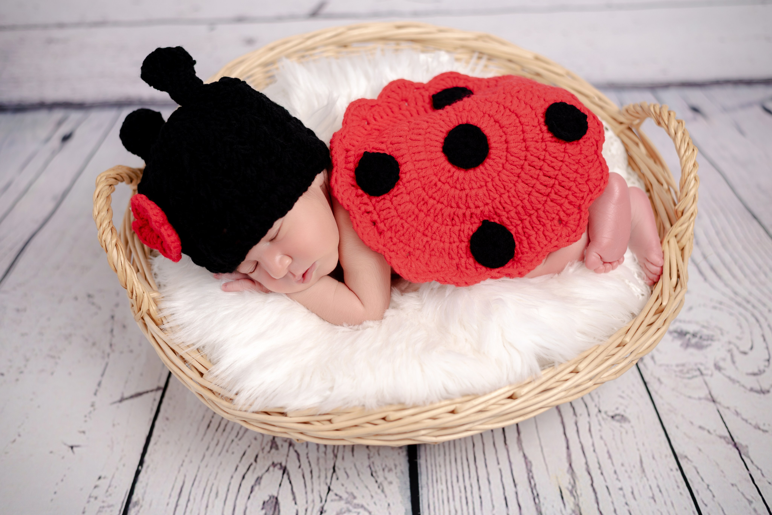 Newborn Photoshoot. Professional Photograher, Antwerpen/Belgium