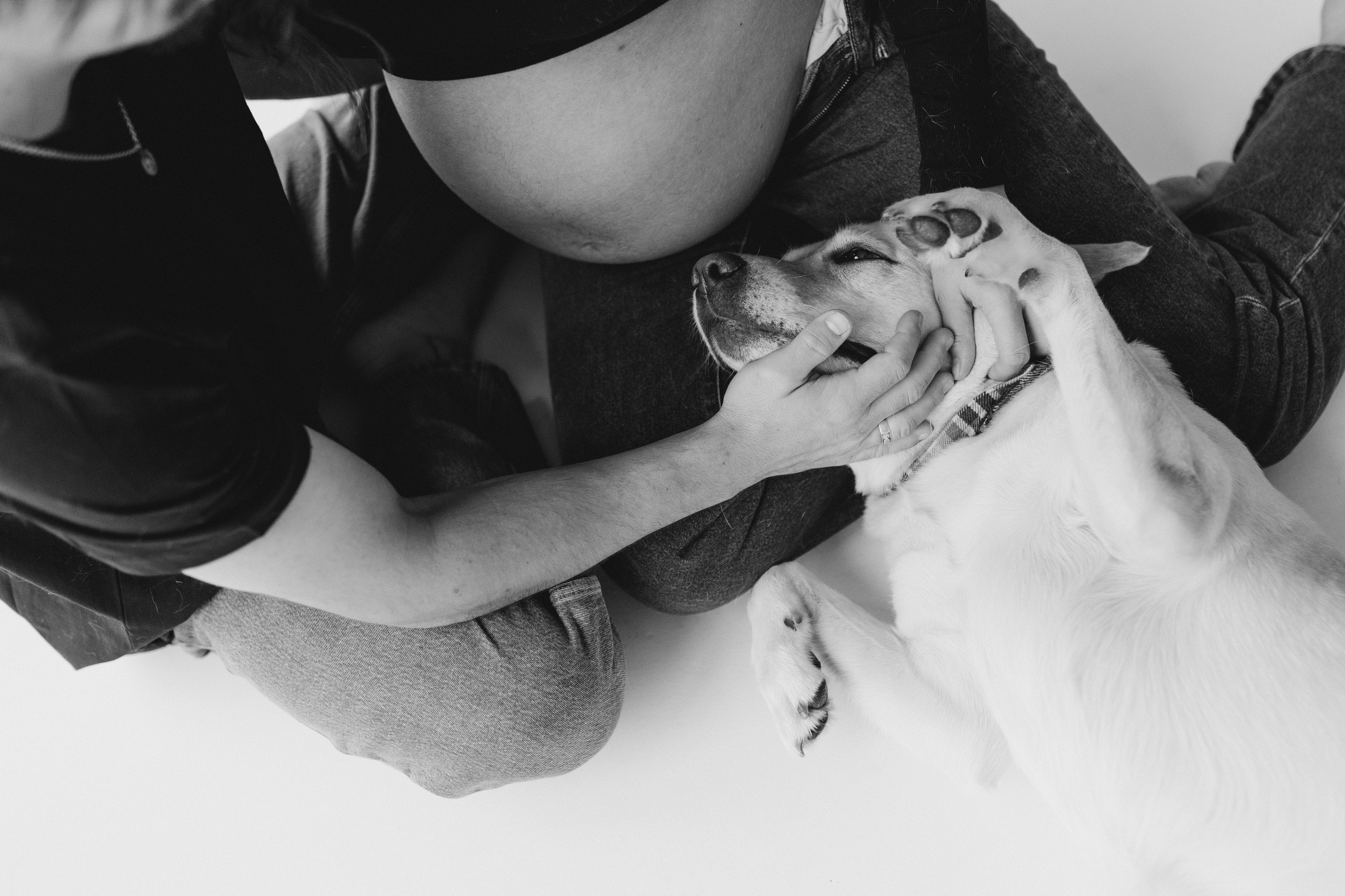 Pregnant Story. Main