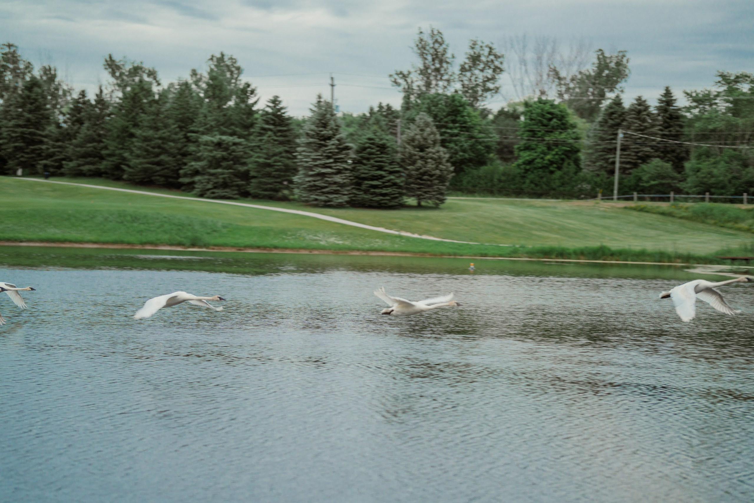 Hiba & Sameer. MISAJA MEDIA
