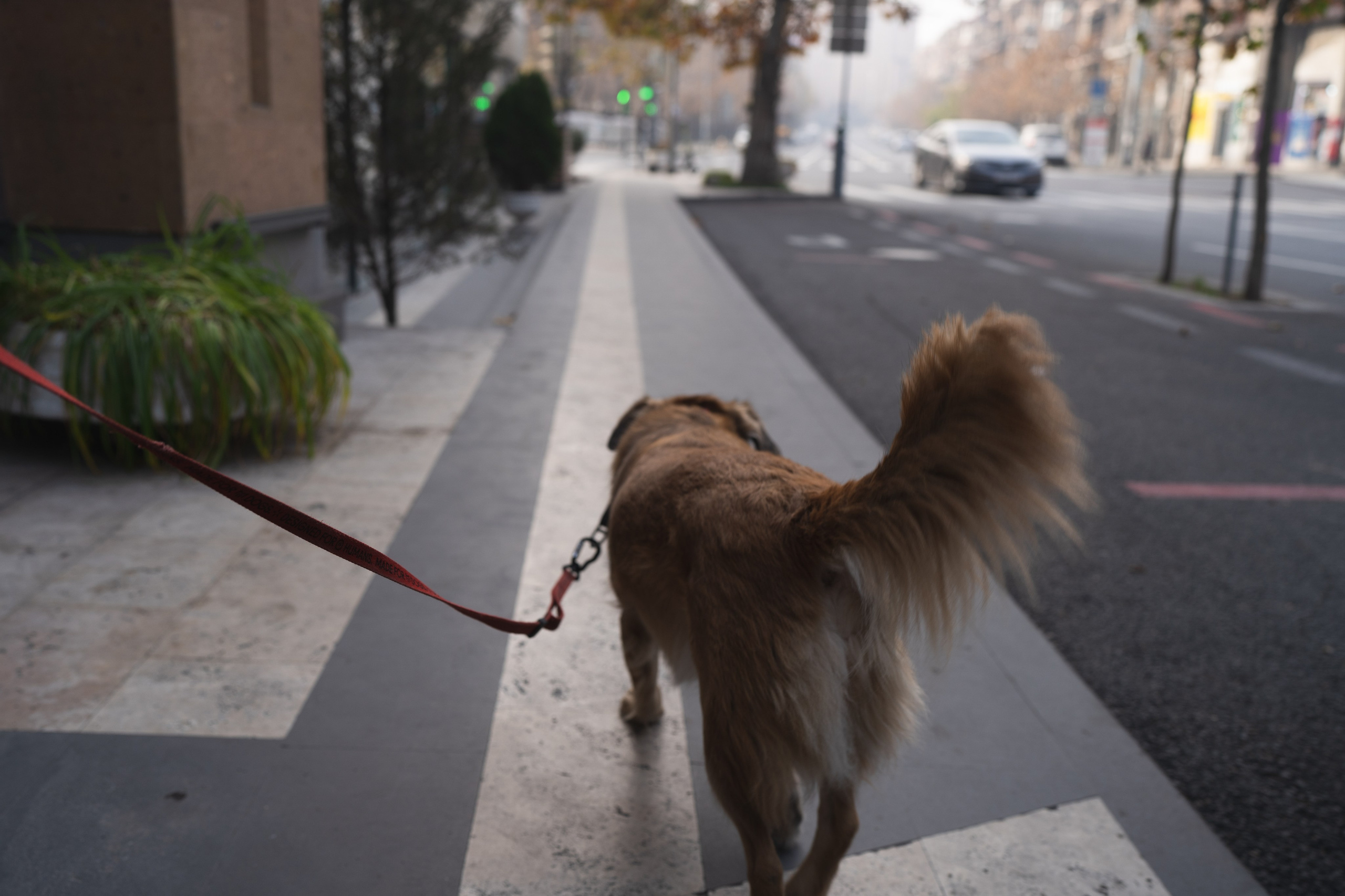 Alena, Vlad and their son Lev. Main