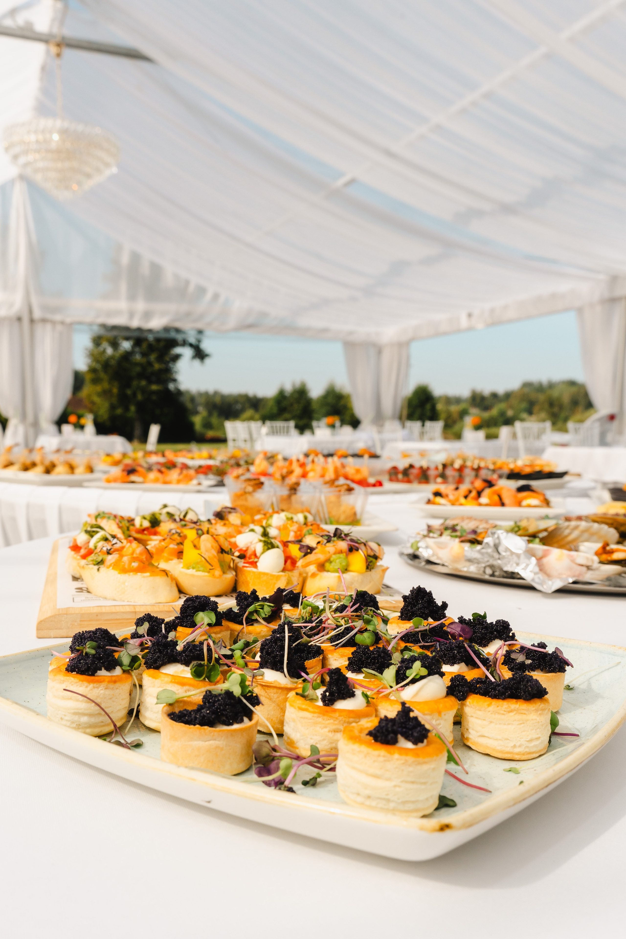 RESTAURANT. Montenegro photographer and videographer