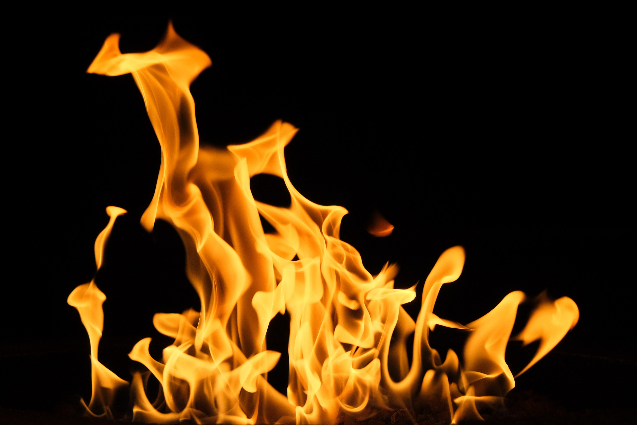 VATRA. Reportage concert portrait photography in the San Francisco Bay Area