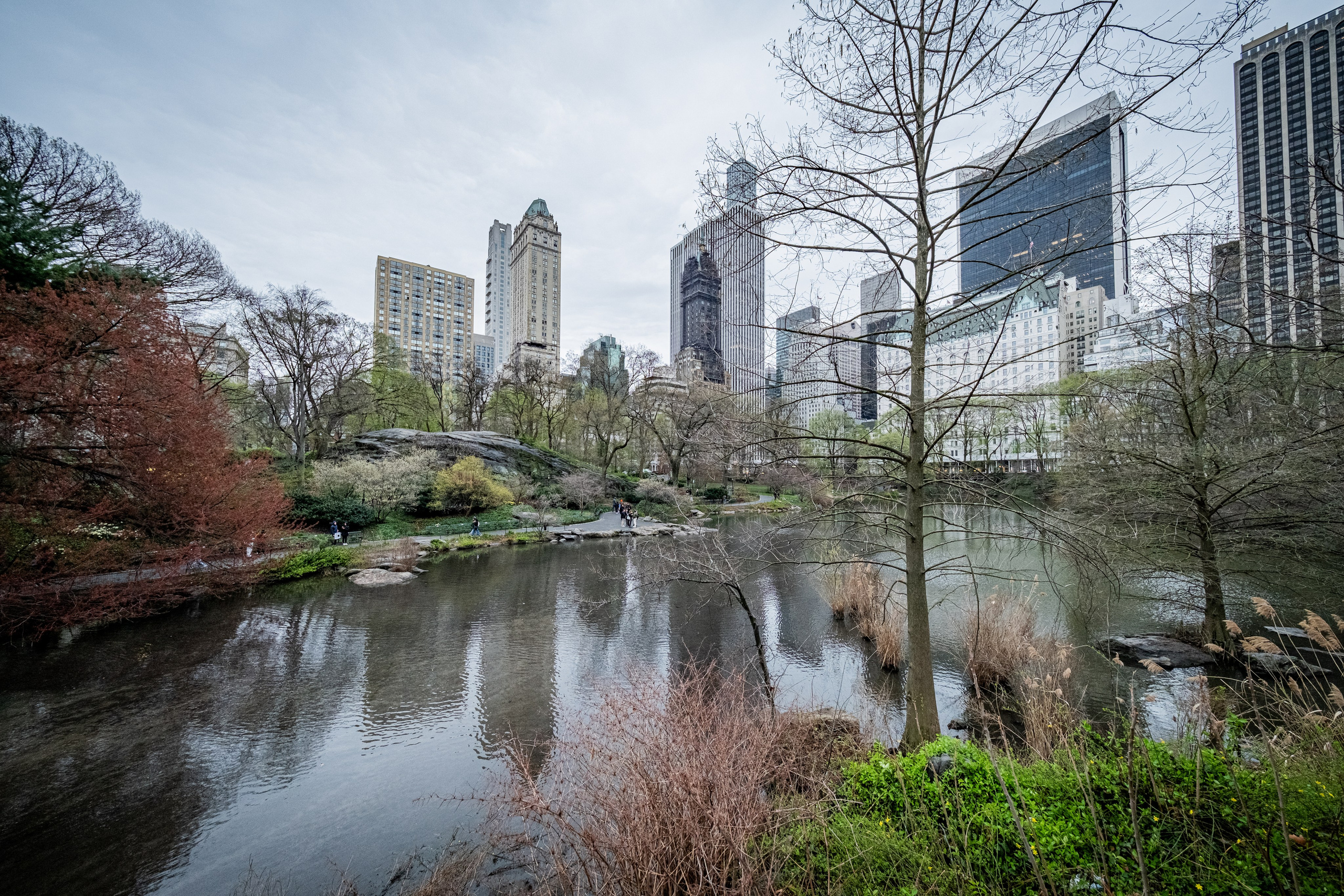 NEW YORK / 2025. Reportage concert portrait photography in the San Francisco Bay Area