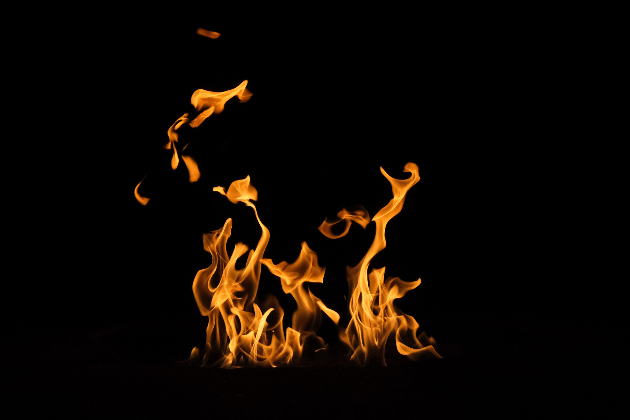 VATRA. Reportage concert portrait photography in the San Francisco Bay Area