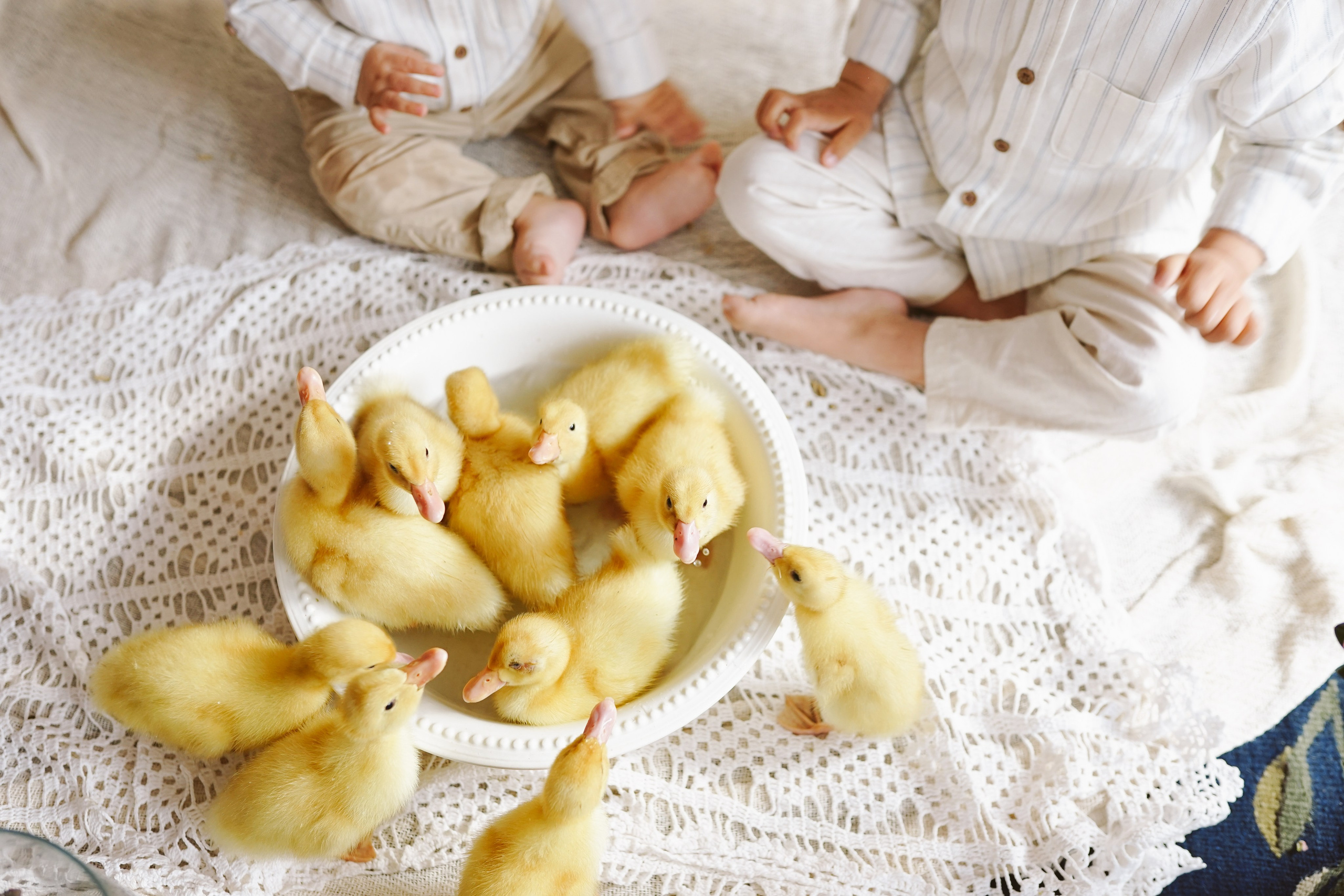 Ședințe Foto de Paște Brașov: Gălbenuș | Mădălina Beda. Madalina Beda- Artist vizual, fotograf, doula la nastere, consultant babywearing Brasov si in toata tara