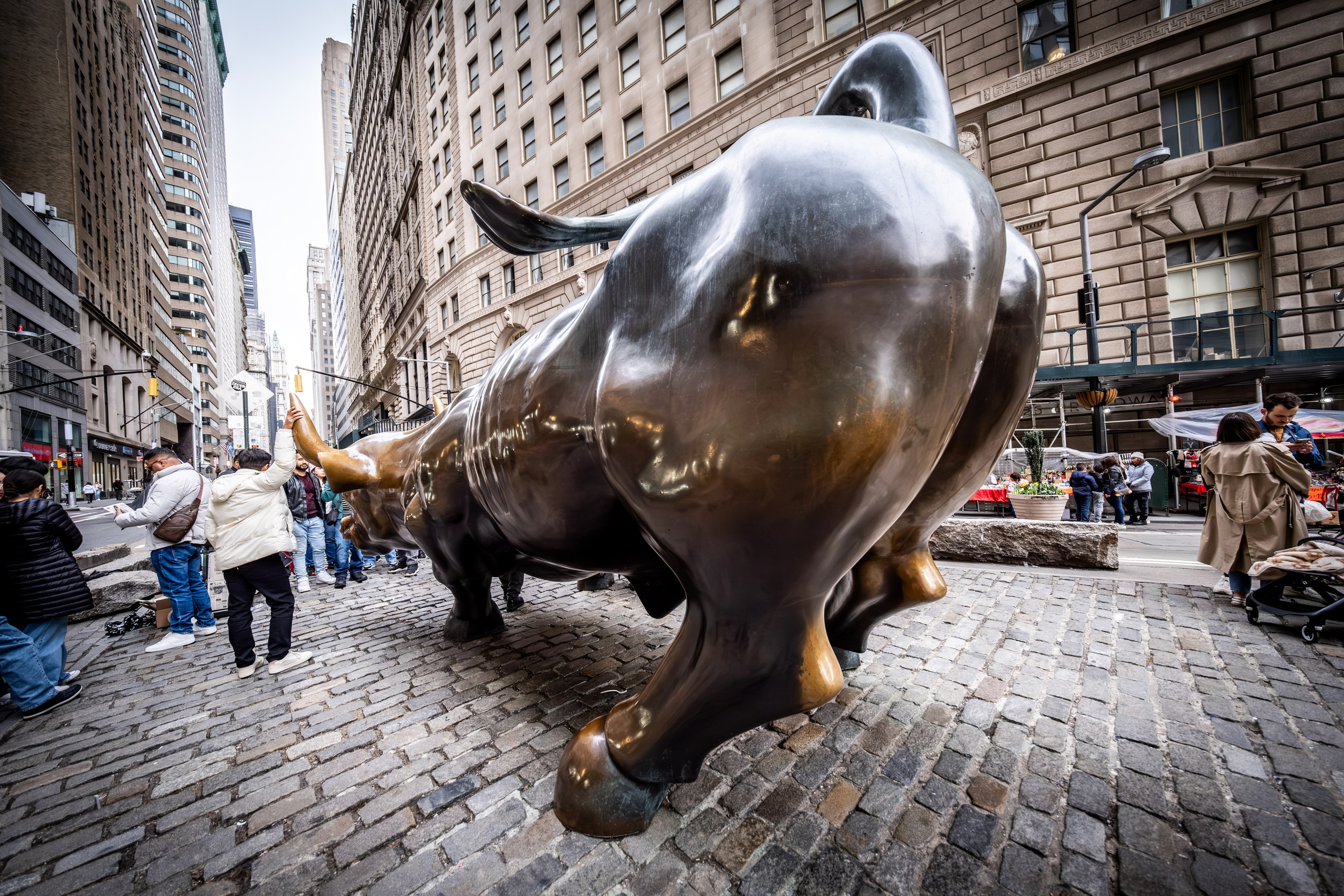 NEW YORK / 2025. Reportage concert portrait photography in the San Francisco Bay Area