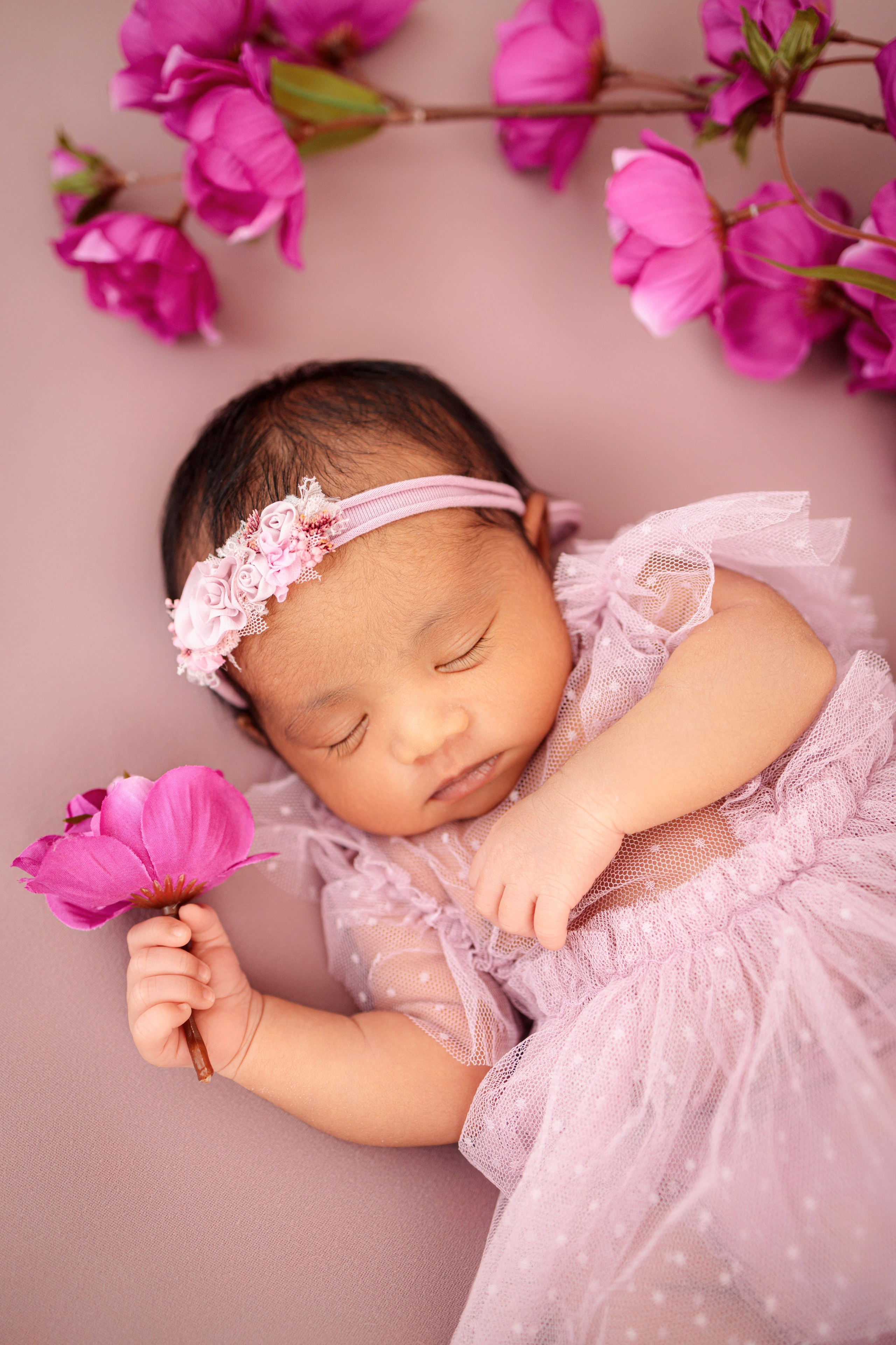 Newborn. Anaeliseevaphoto.com