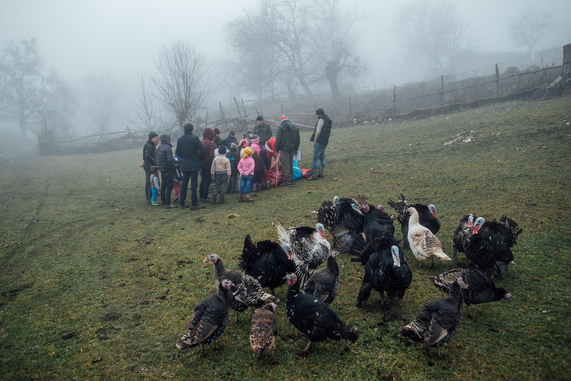 Şaxta Baba Ucqar Dağ Kəndlərində - Sosial Layihə. Bakıda Peşəkar Tədbir, Love Story və Təbiət Fotoqrafı — Elşən Baba