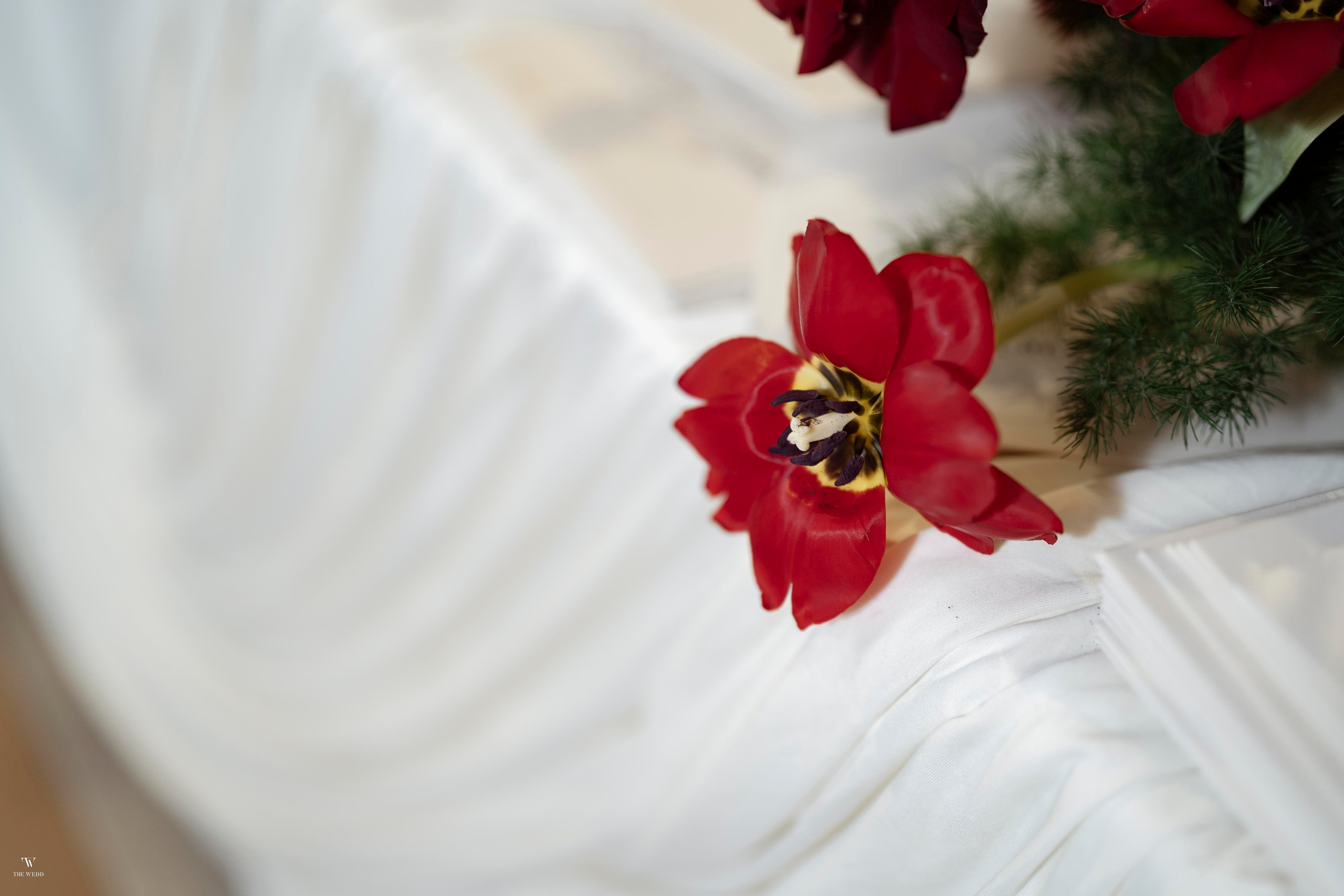 NGHIA & NGOC. WEDDING PHOTOGRAPHER IN VIETNAM