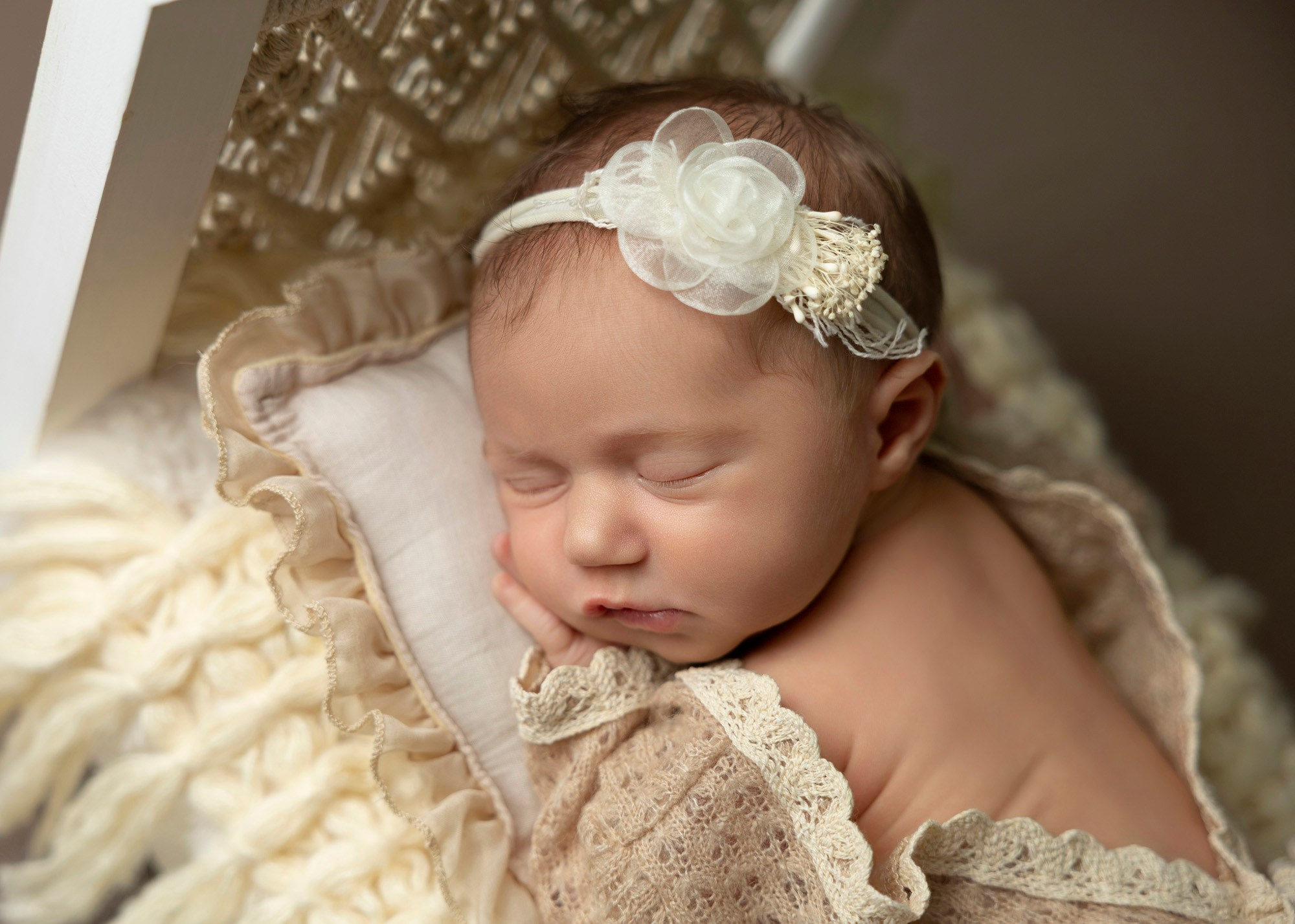 Newborn photos. Newborn photographer in Tampa Bay Area, FL