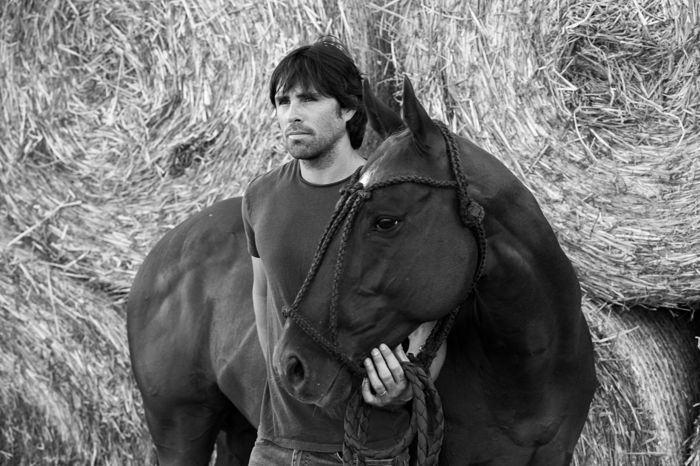 Photo shoot with horses