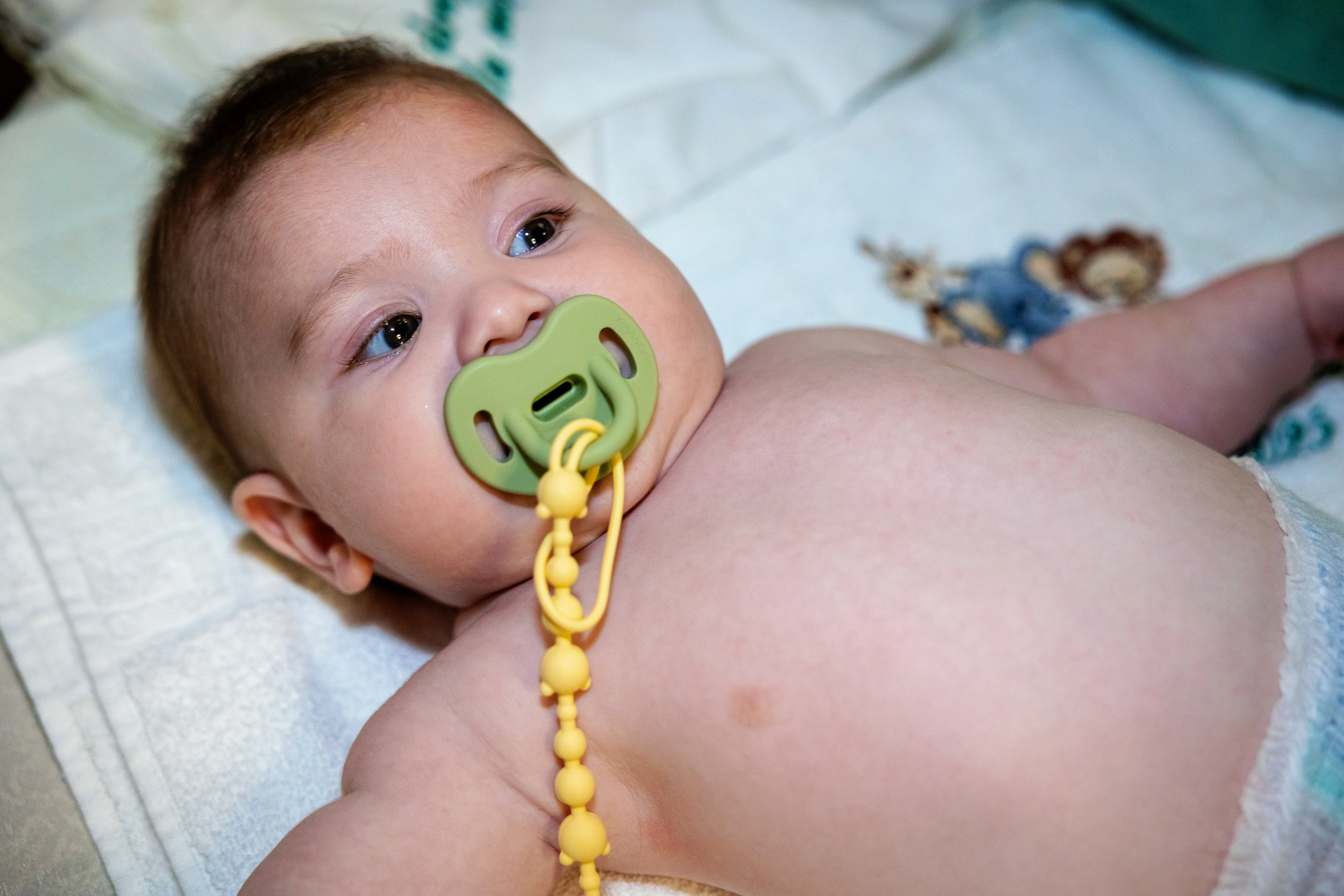 Andrei Damian. Moments By Gub