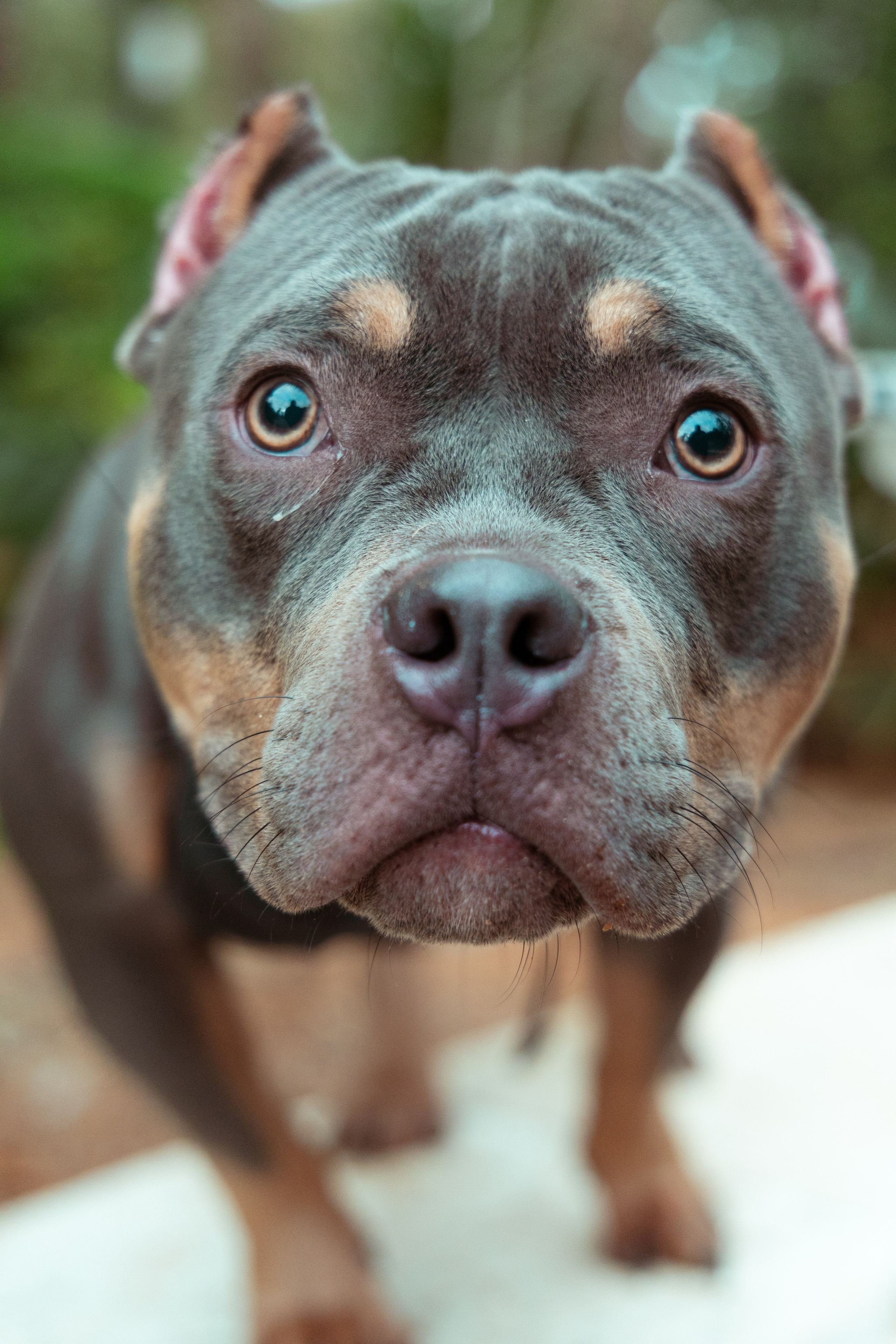 Семейная. Photo__Vladi