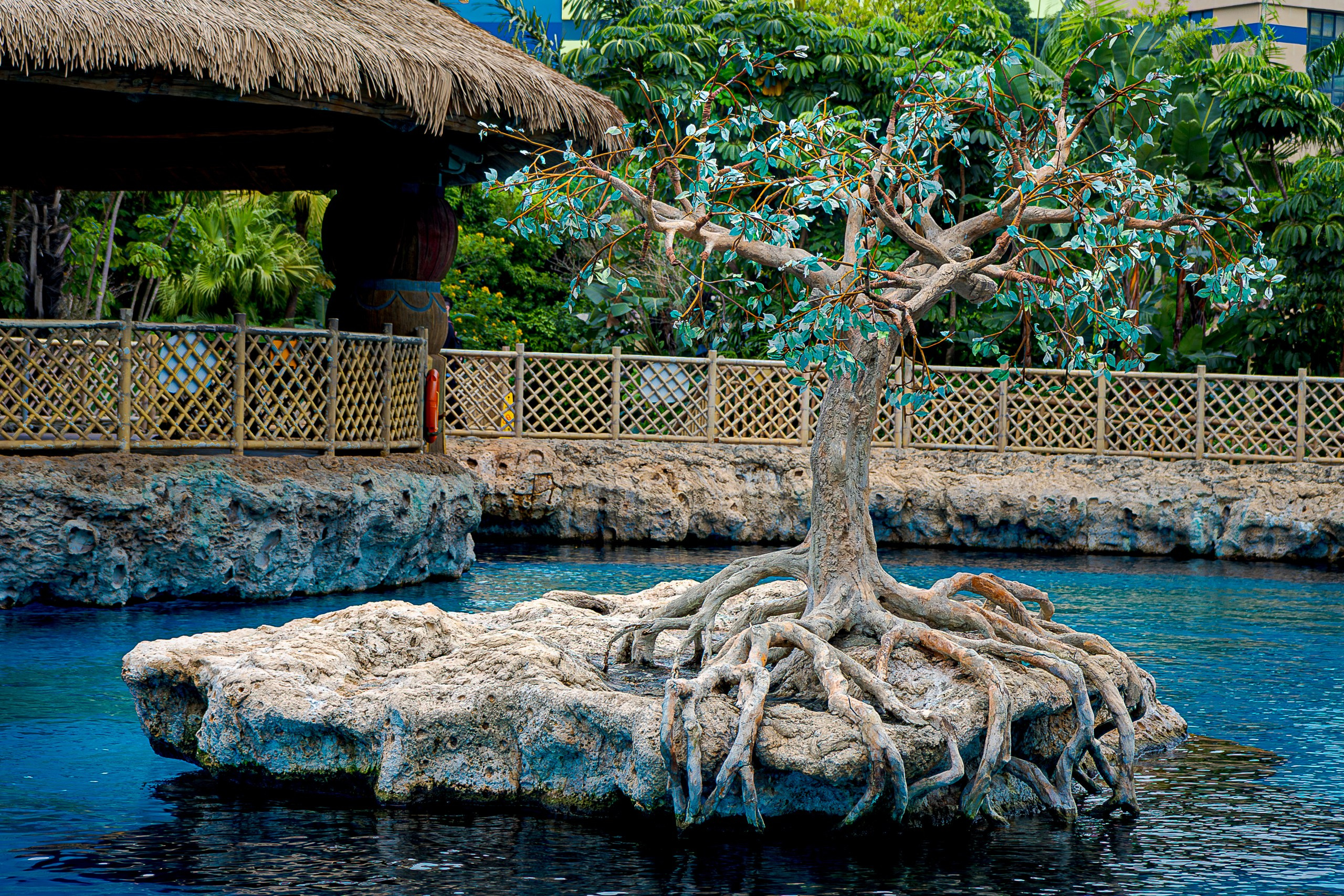 Африка вокруг нас