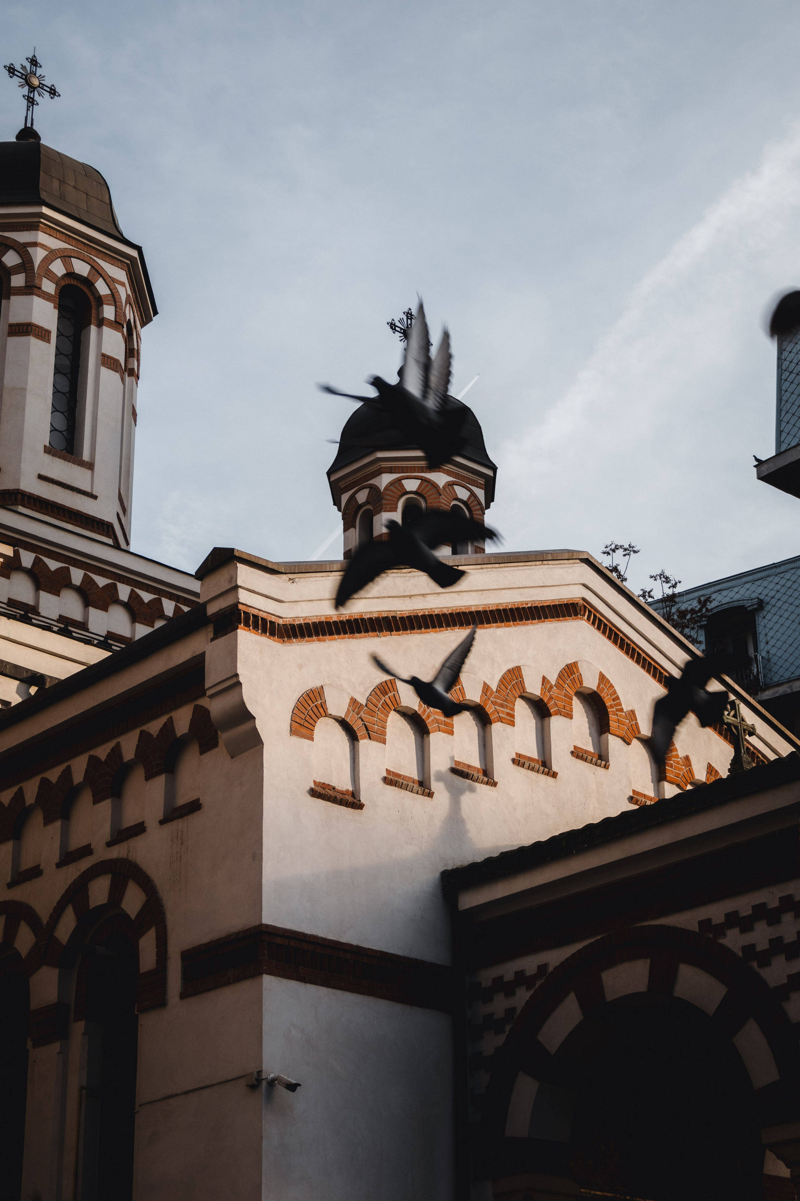 Bucharest. Дизайнер и Фотограф в Кишинёве Бусуйок Станислав