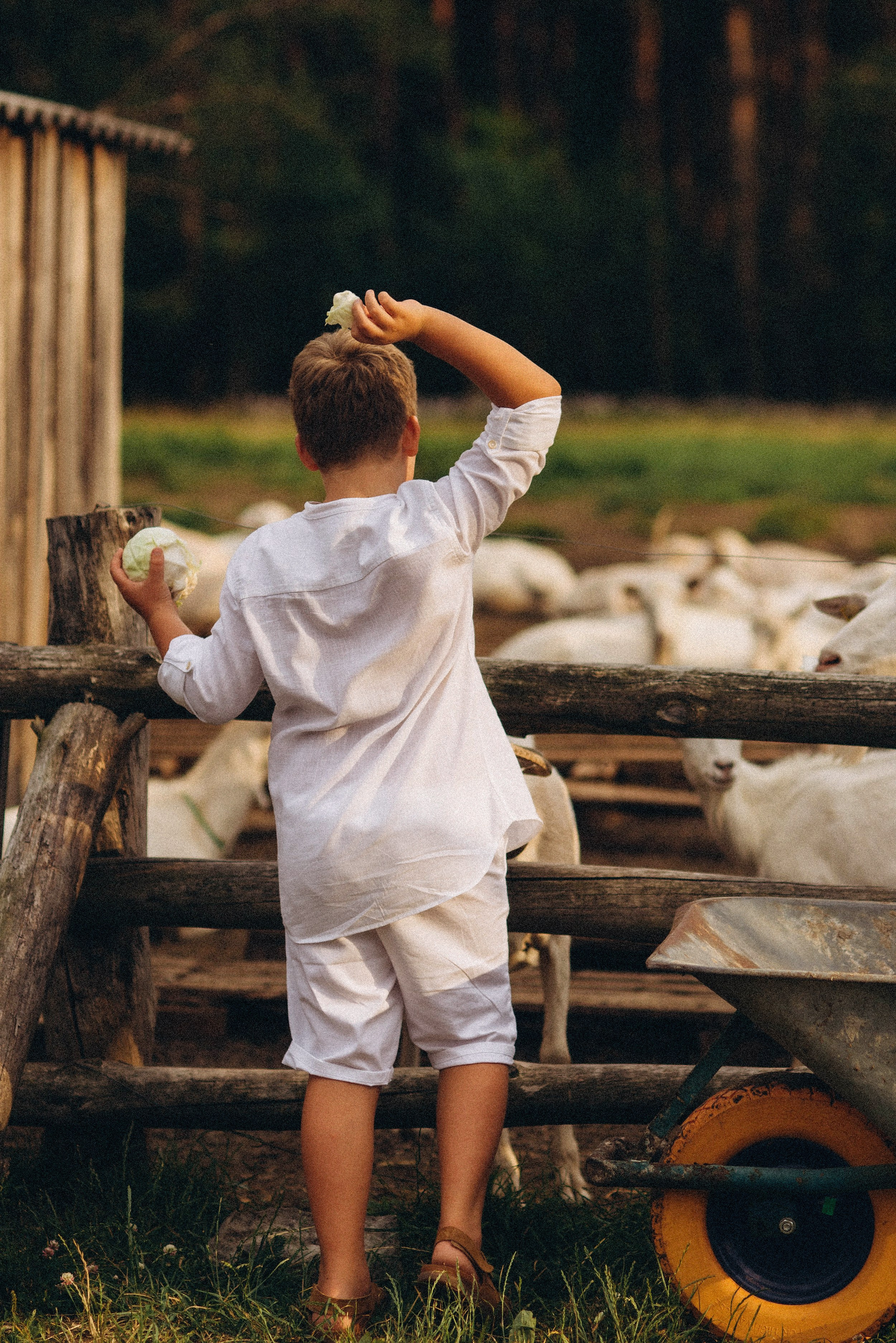 Беременность на природе. Семейный фотограф Лейпциг, Германия