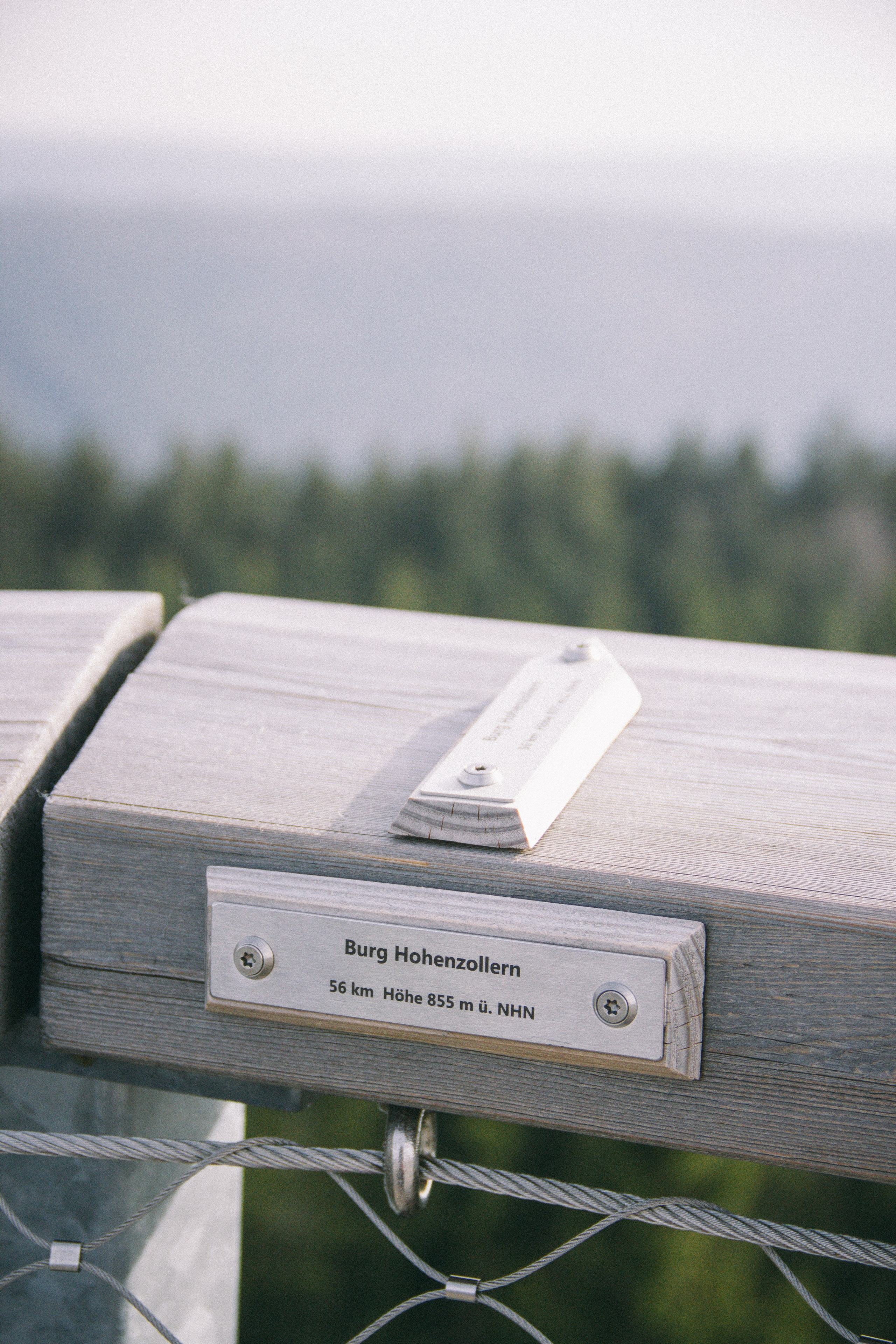 Baumwipfelpfad in Bad Wildbad. Maria Chistyakovа — Fotografin in Karlsruhe, Baden-Baden und Umgebung