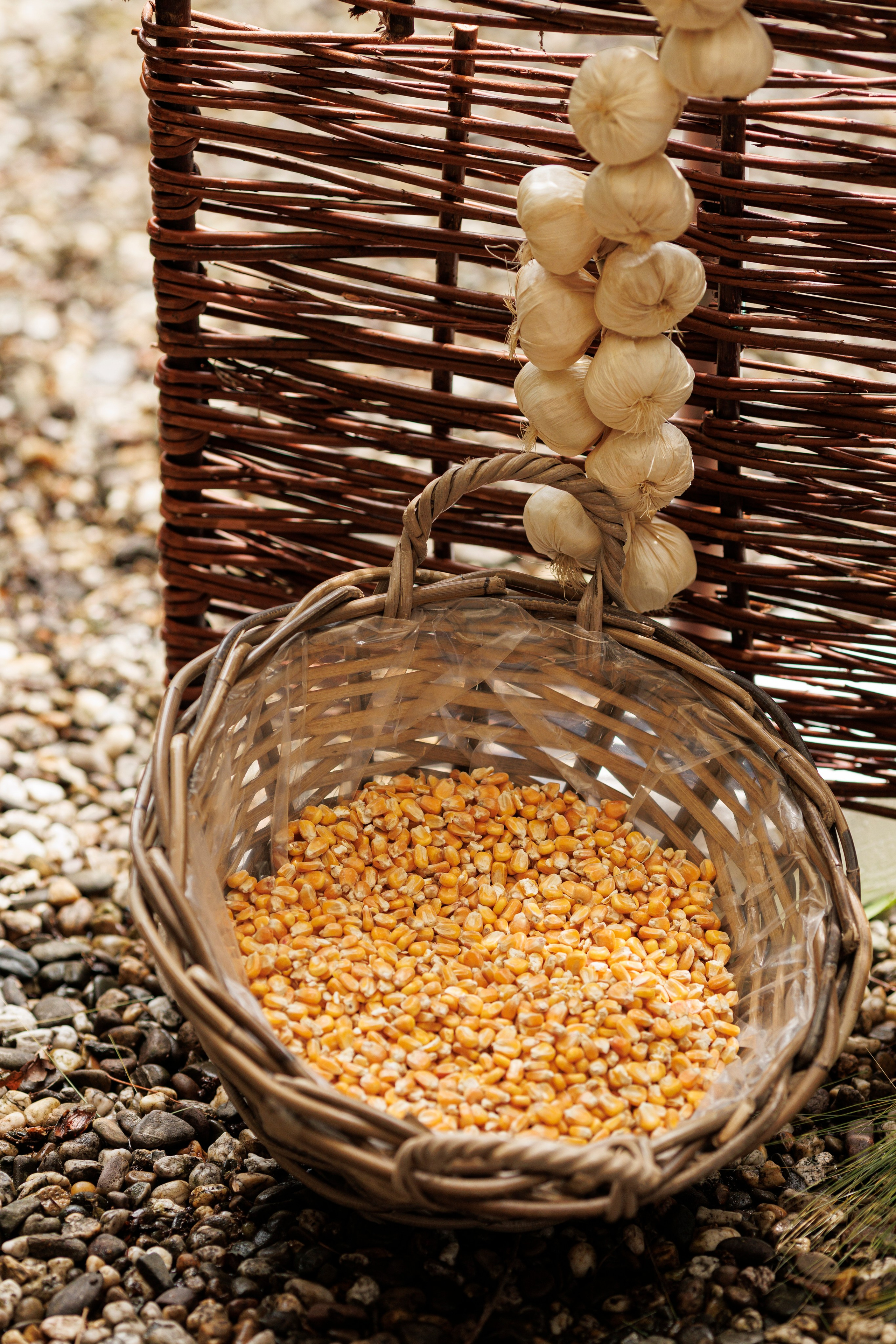 Hora Dorului 2025. Dienstleistungen