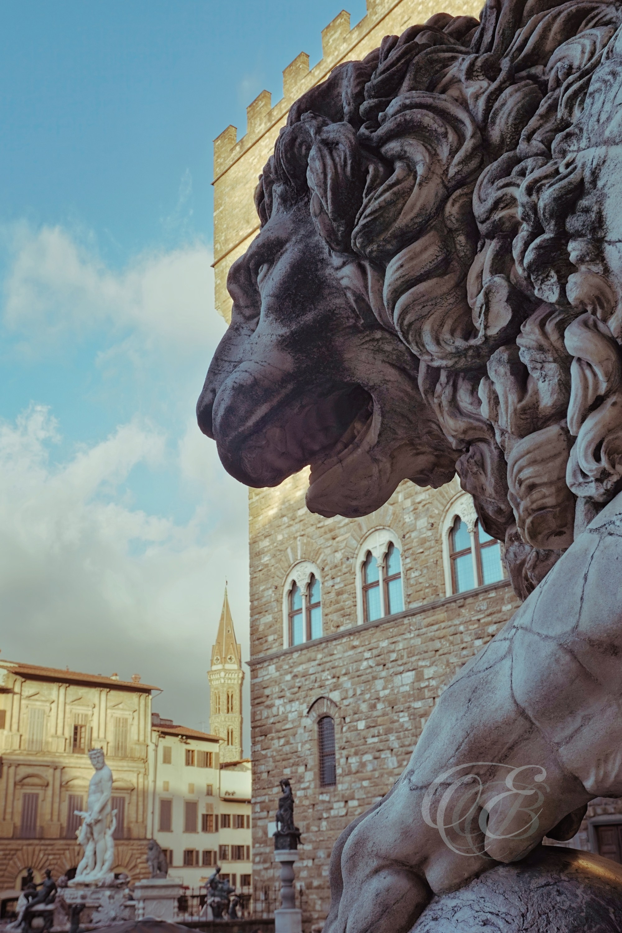 Florence Italy - Loggia dei Lanzi Medici lions - Eduardo Bartoli Fine Art Photography - Medici lions at Loggia dei Lanzi in Florence, Italy – fine art photography by Eduardo Bartoli.