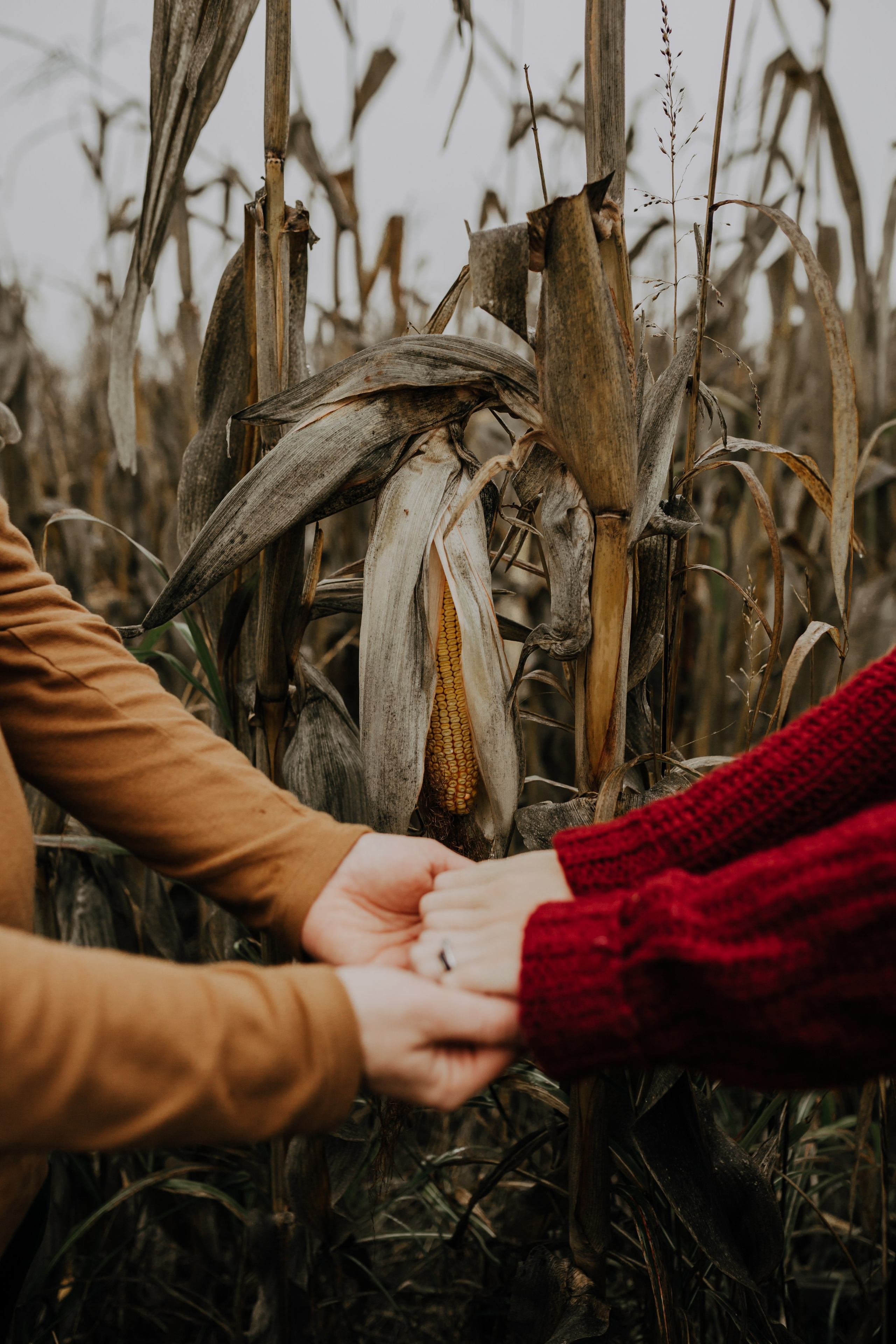 M & G. Fotograf Nunta Iasi - Hearts & Pictures