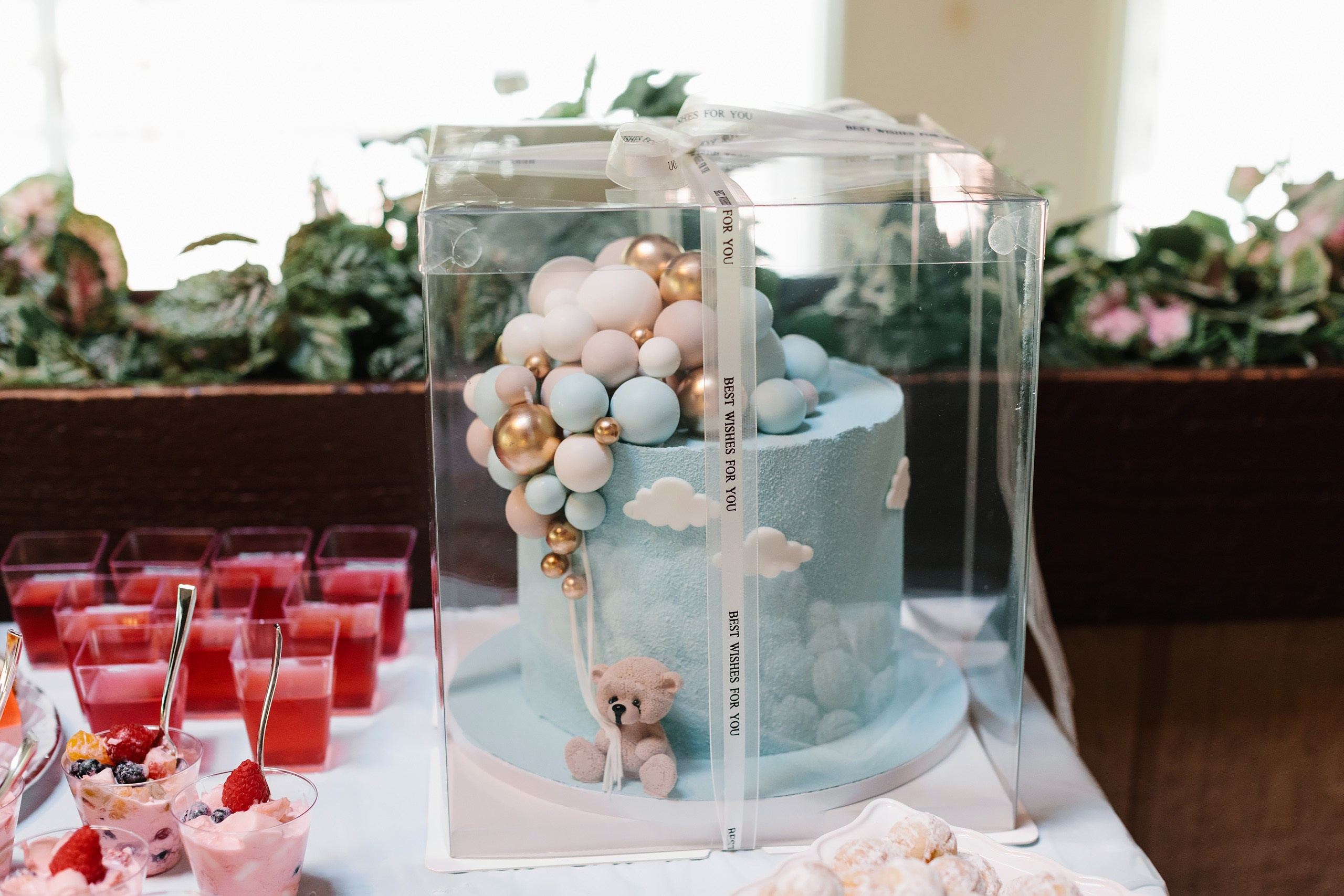 10.01.2022 Baby shower. Wedding family event photographer in Chicago Nick Yushevich