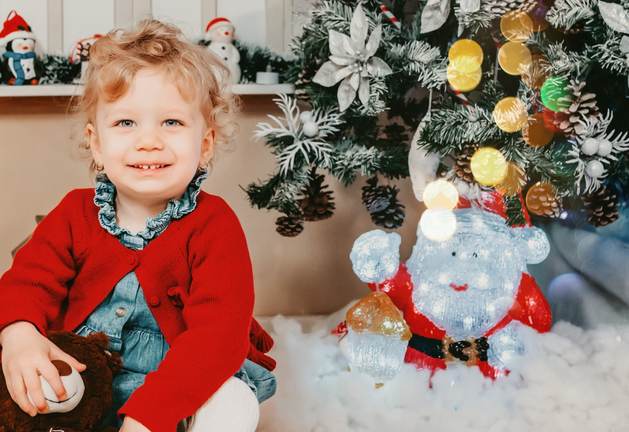 Sedinta Craciun Lucian