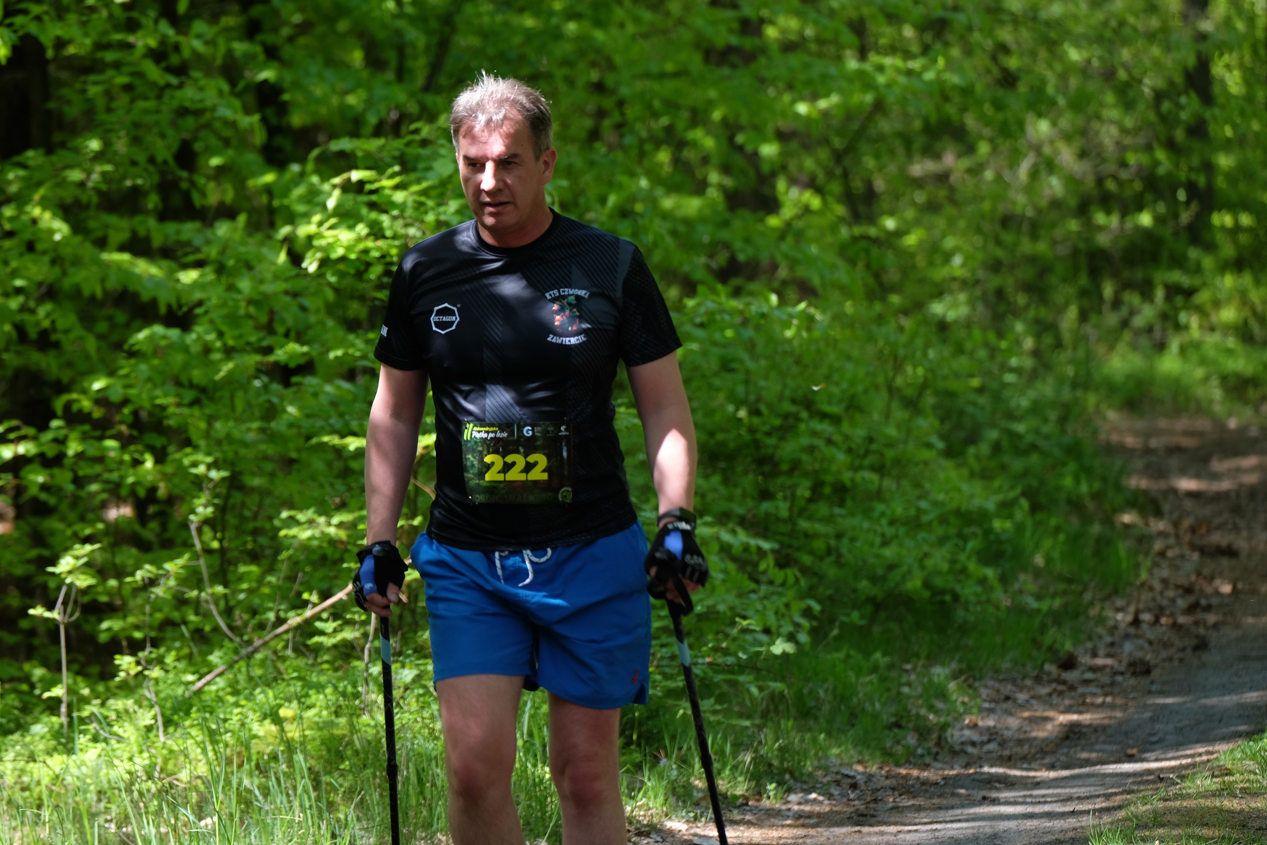 Aleksandryjska Piątka po lesie. Main