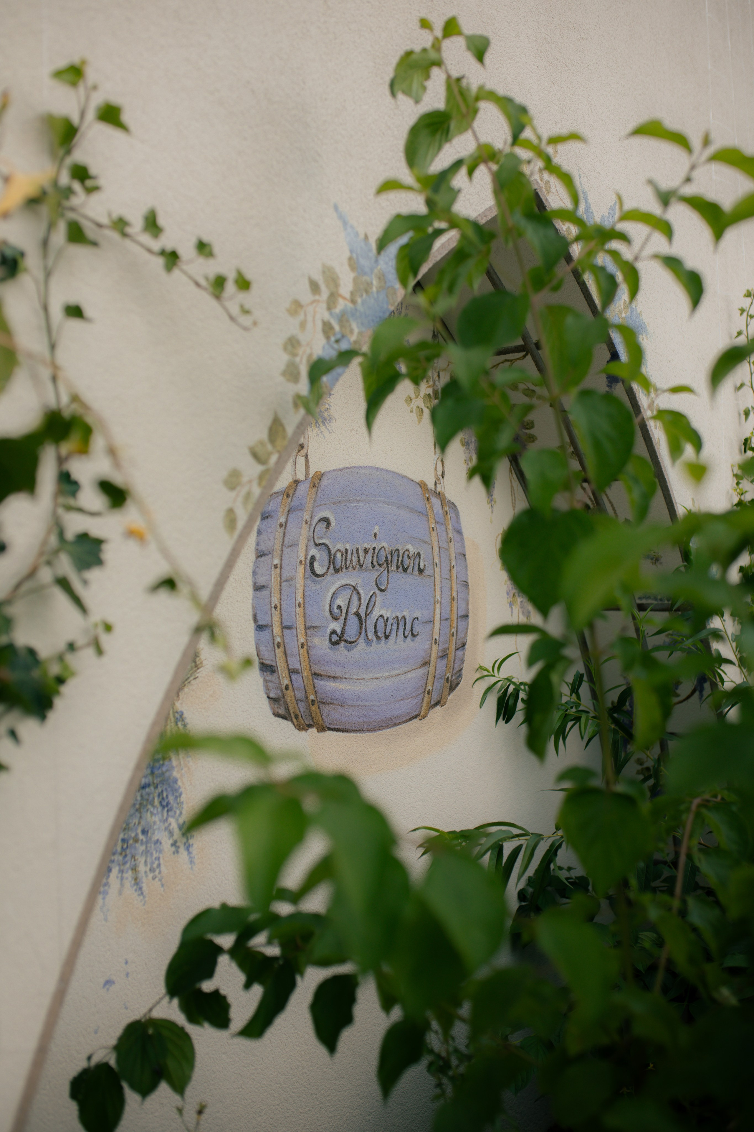 Casa Timis. Patricia Morenci — Mountain Adventures for the Wild at Heart