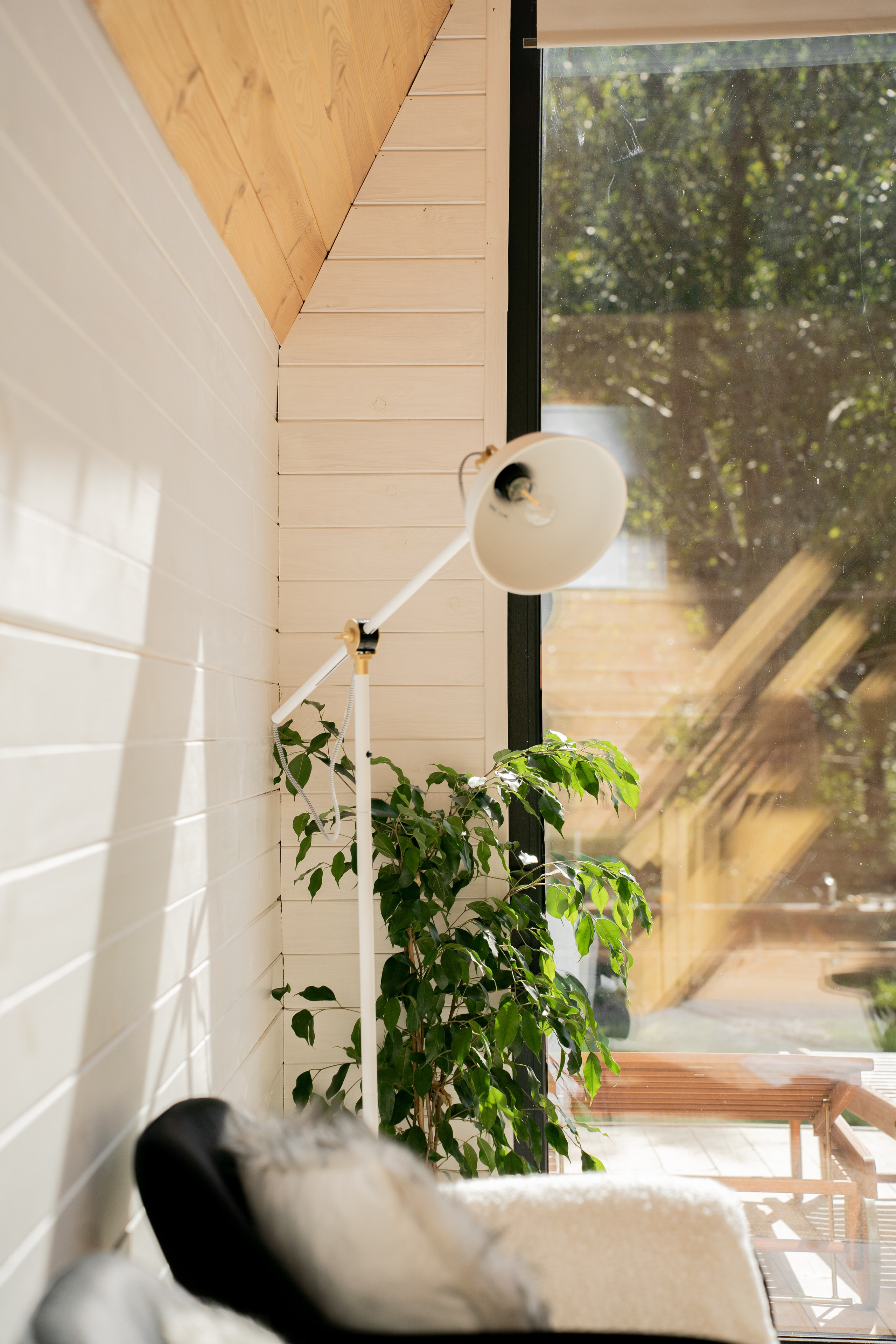 Airbnb. Patricia Morenci — Mountain Adventures for the Wild at Heart