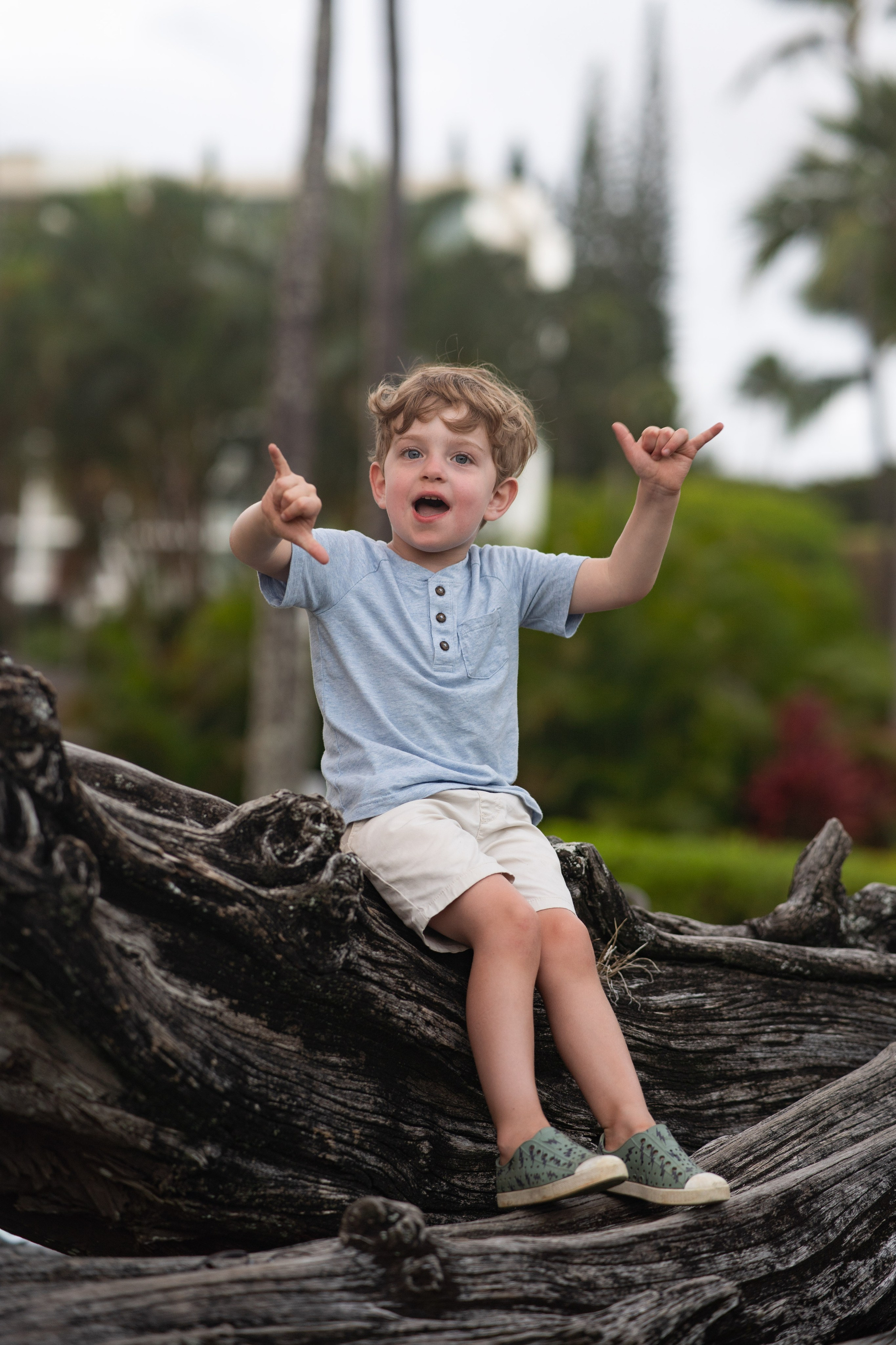 Kauai Beach Photography LLP. Awards winning photographer in Kauai, Hawaii