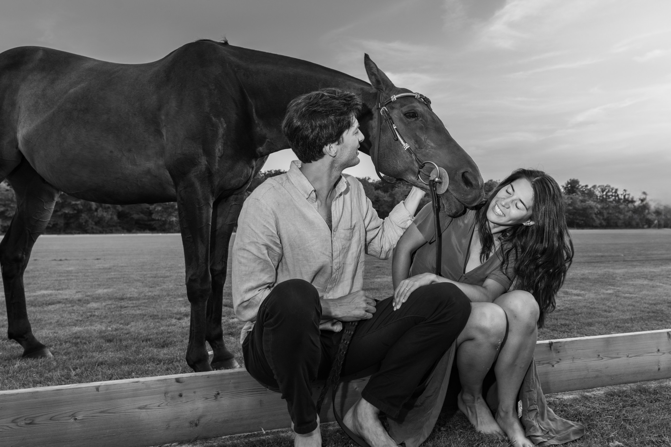 Photo shoot with horses