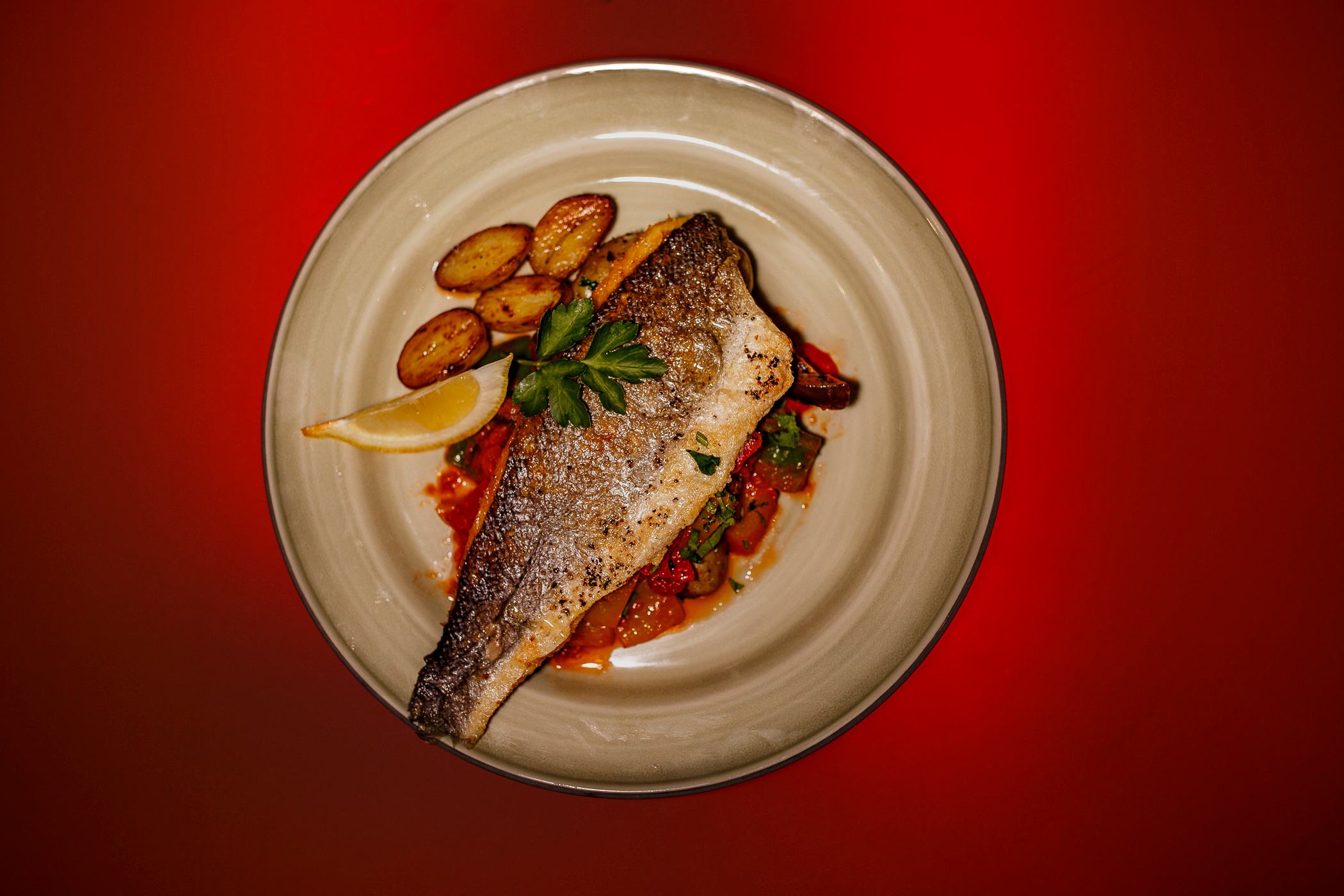 CONTENT & PRODUCT PHOTOGRAPHY. Professionelle Gartenplanung und Fotografiedienstleistungen in London