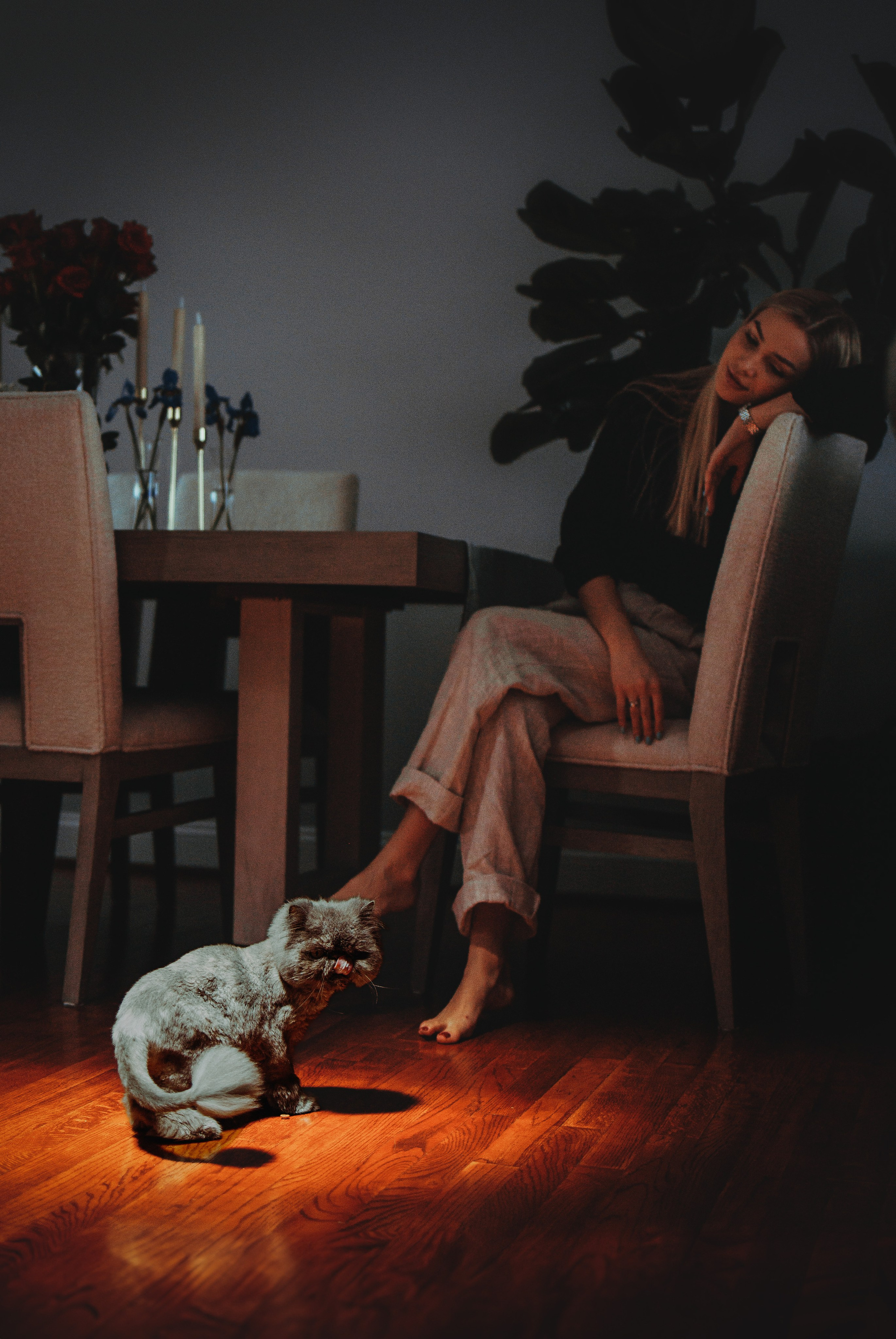 Mila & Natali. Pet Photographer Viktoriya Aleshenko