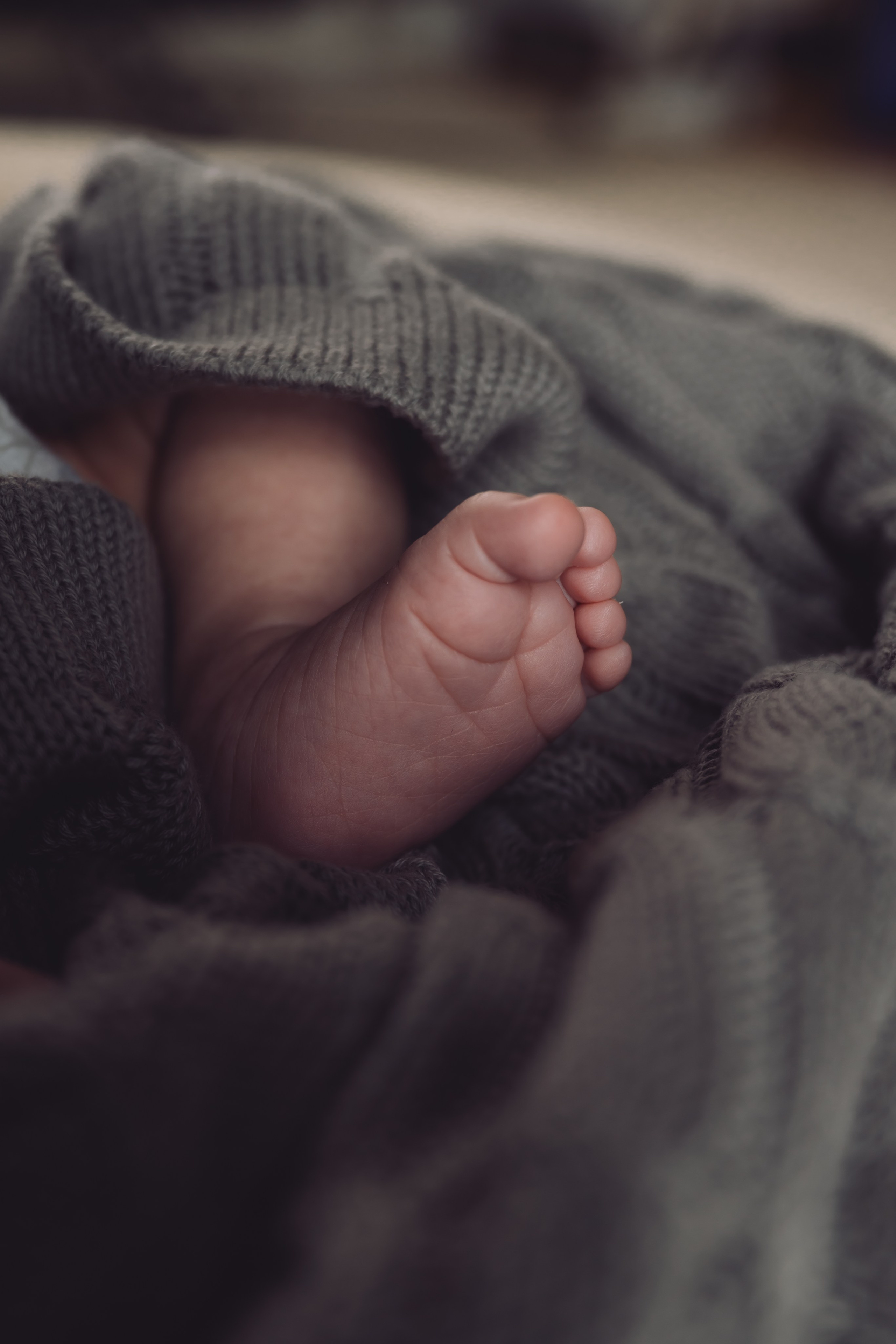 Barn- og familiefotografering. Familiefotograf i Narvik kommune