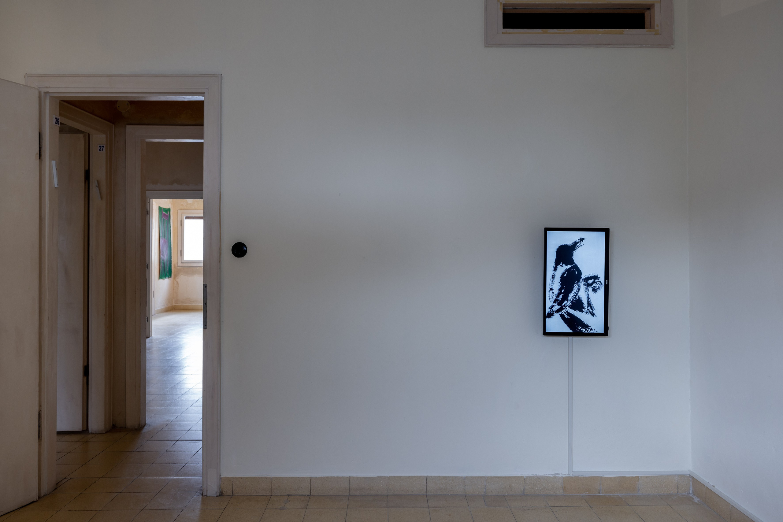 Bird on the windowsill, 2024. Haim Sokol’s artists website