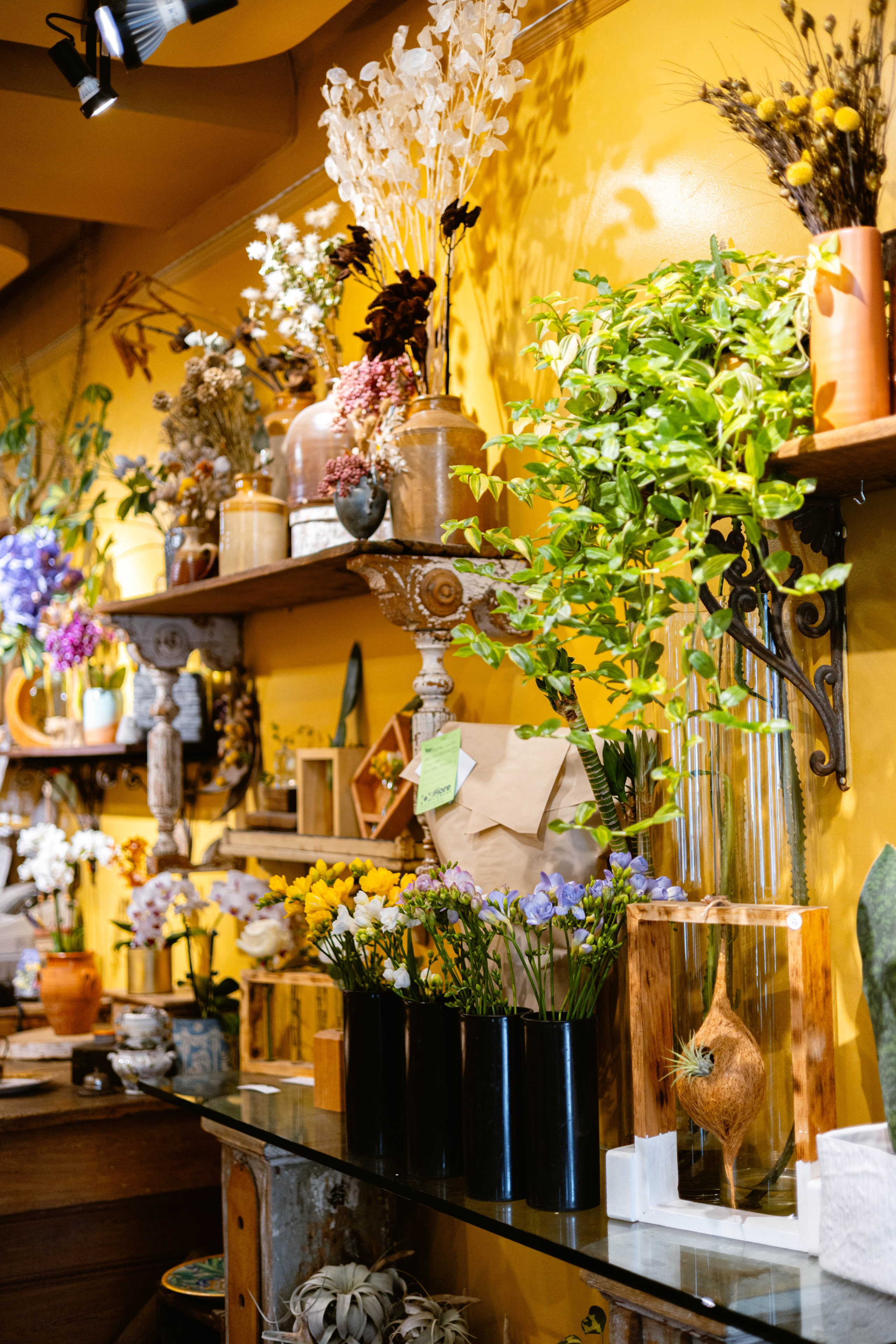 Photographer Ottawa,Branding photo shoot,Small business Photo session. Photographer Ottawa Jane Krasnopolska