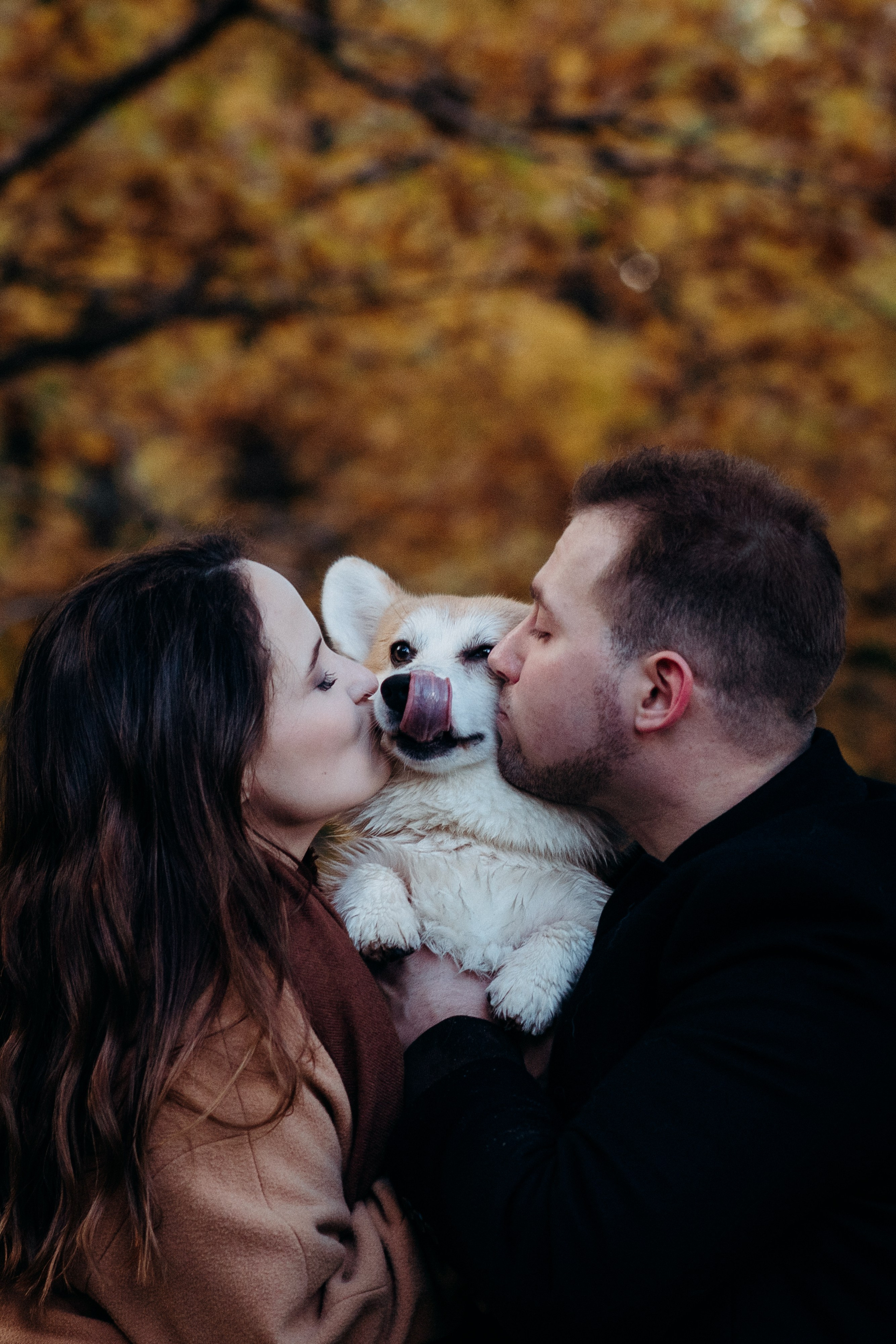 Liisa, Alexander & Marsel. Фотограф-анималист в Таллинне, Катя Лайсаар