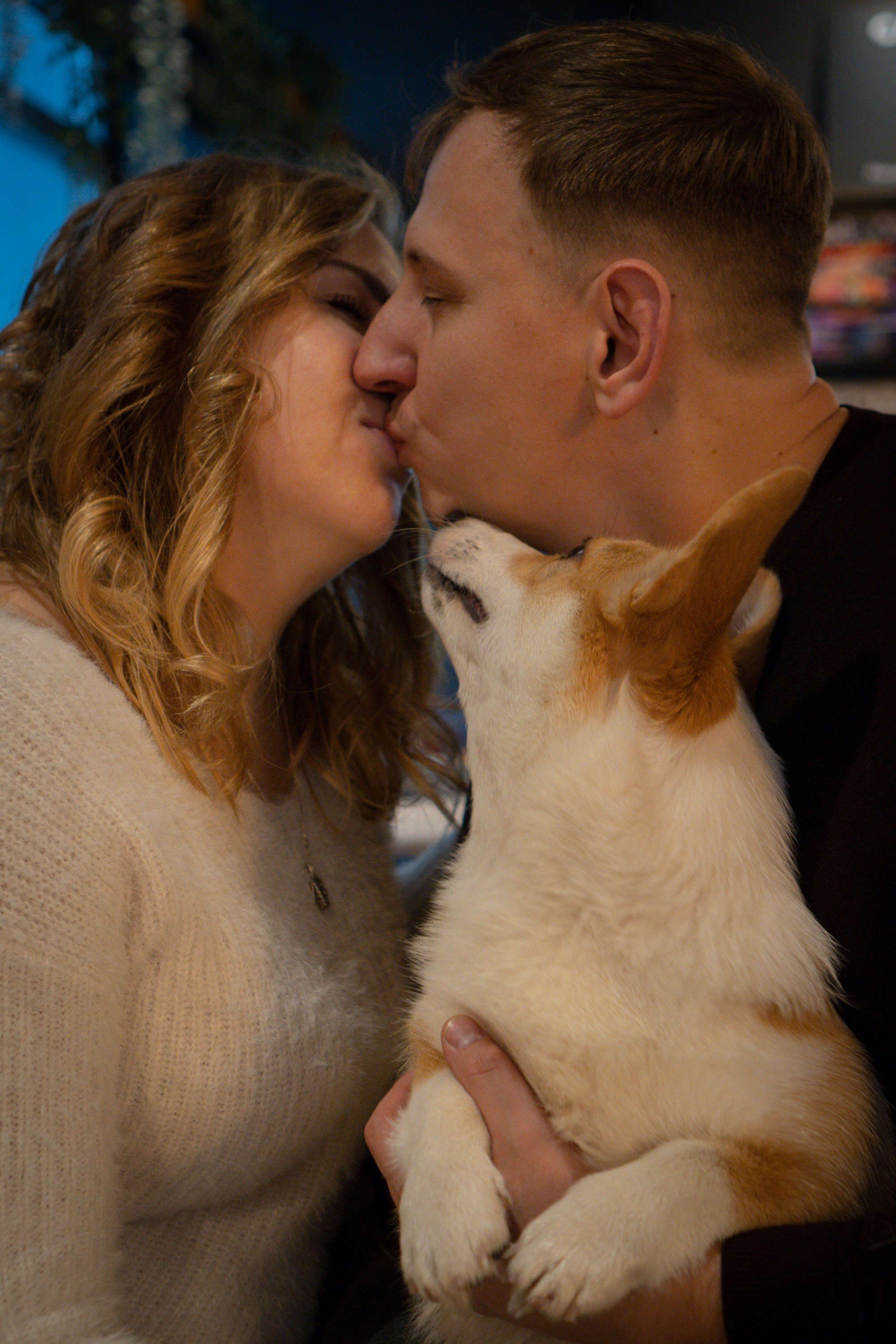 Maarika, Jegor and their Luna, Pembroke Welsh Corgi. Kat Laisaar — Pet photographer in Tallinn