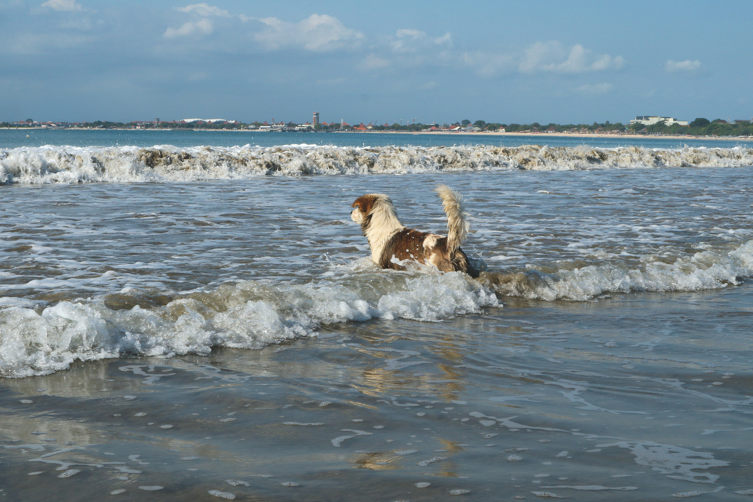 Balinese Days. BNW Around Photography