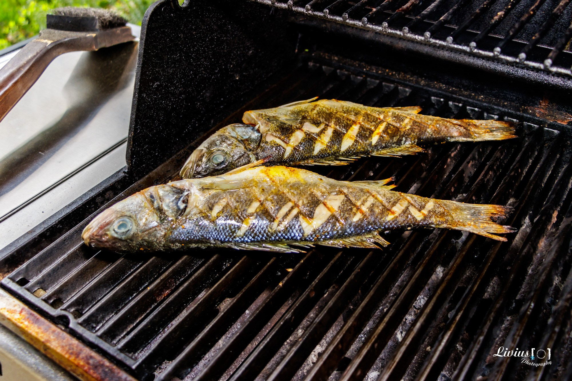 Peter Zeitler Grillkurs. FOTO KREATIV