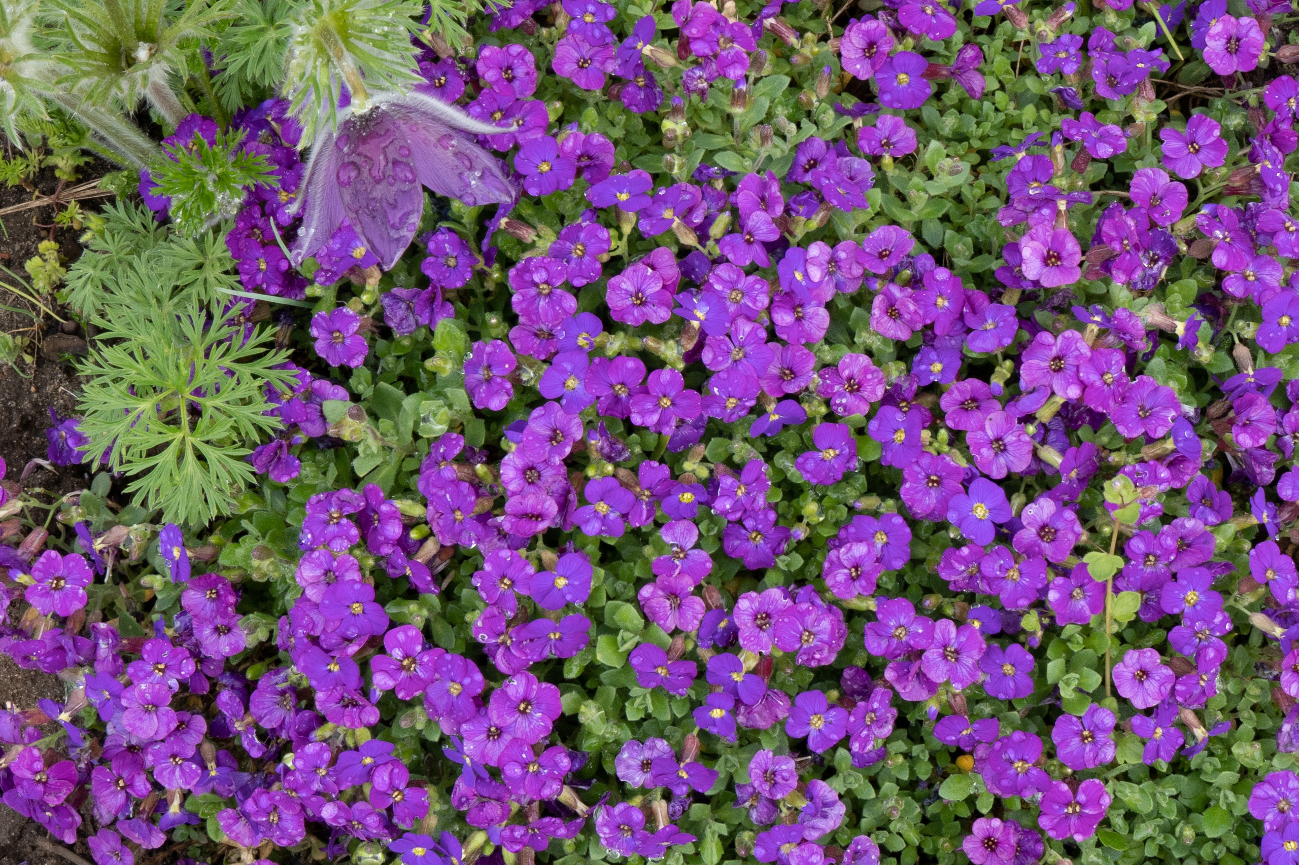 Street Photographie. Bürgerreporter & Amateurfotograf in Hannover