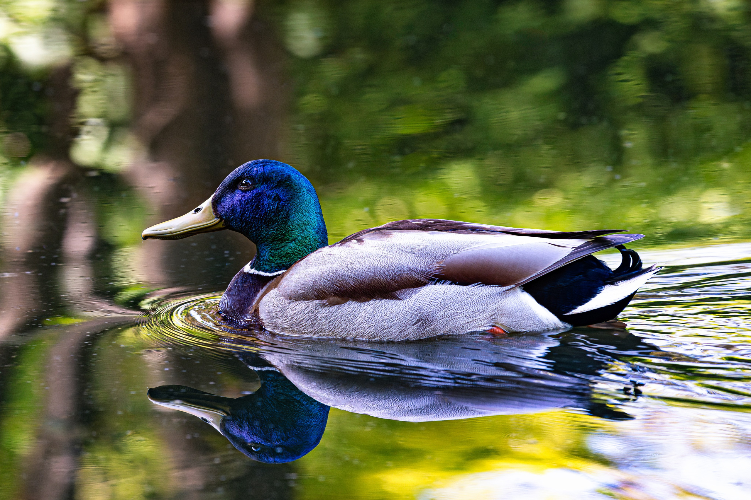 Portret bebeluș la botez realizat de Mitroi Iulian