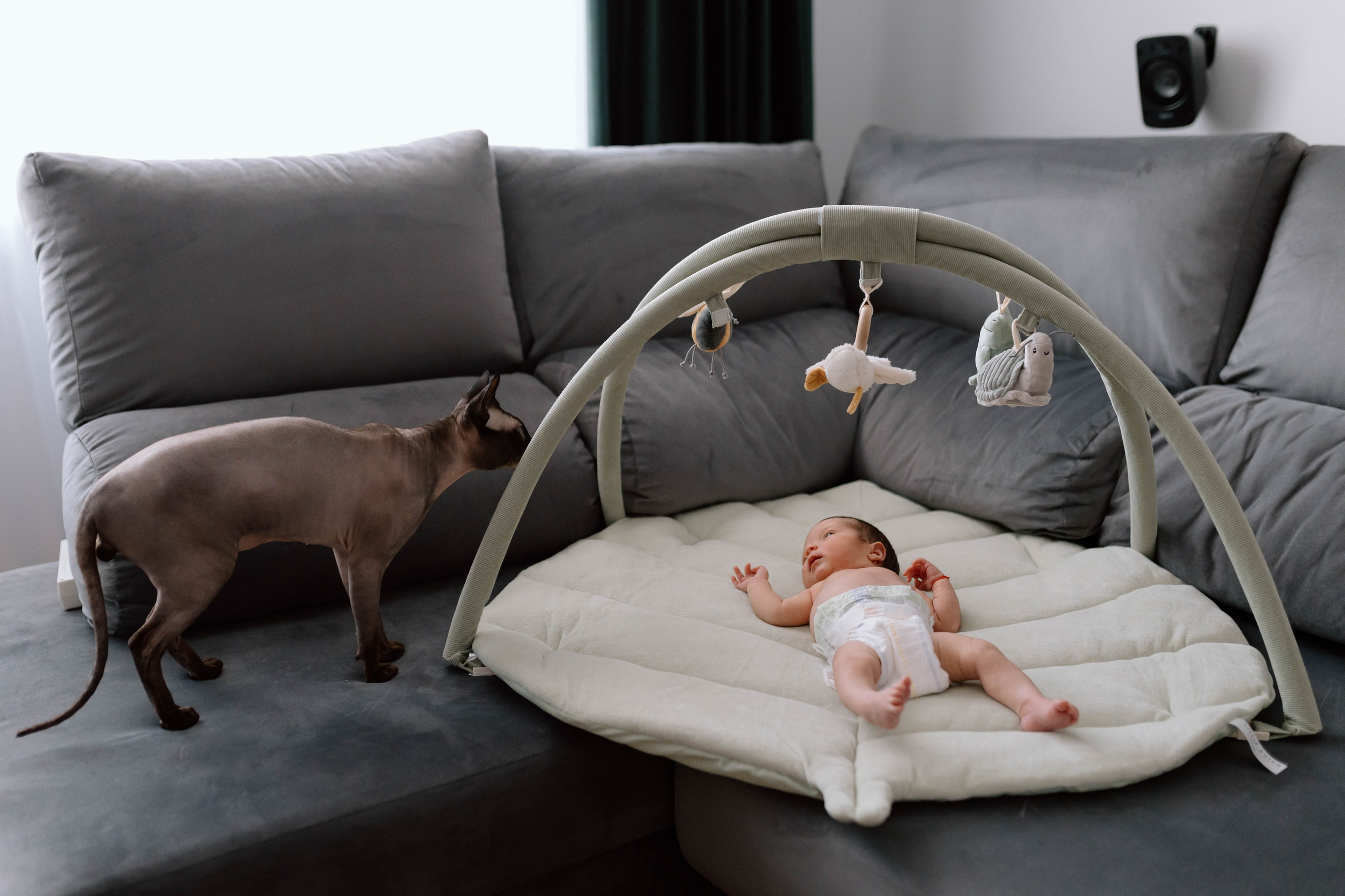 Anastasia — Newborn. Main